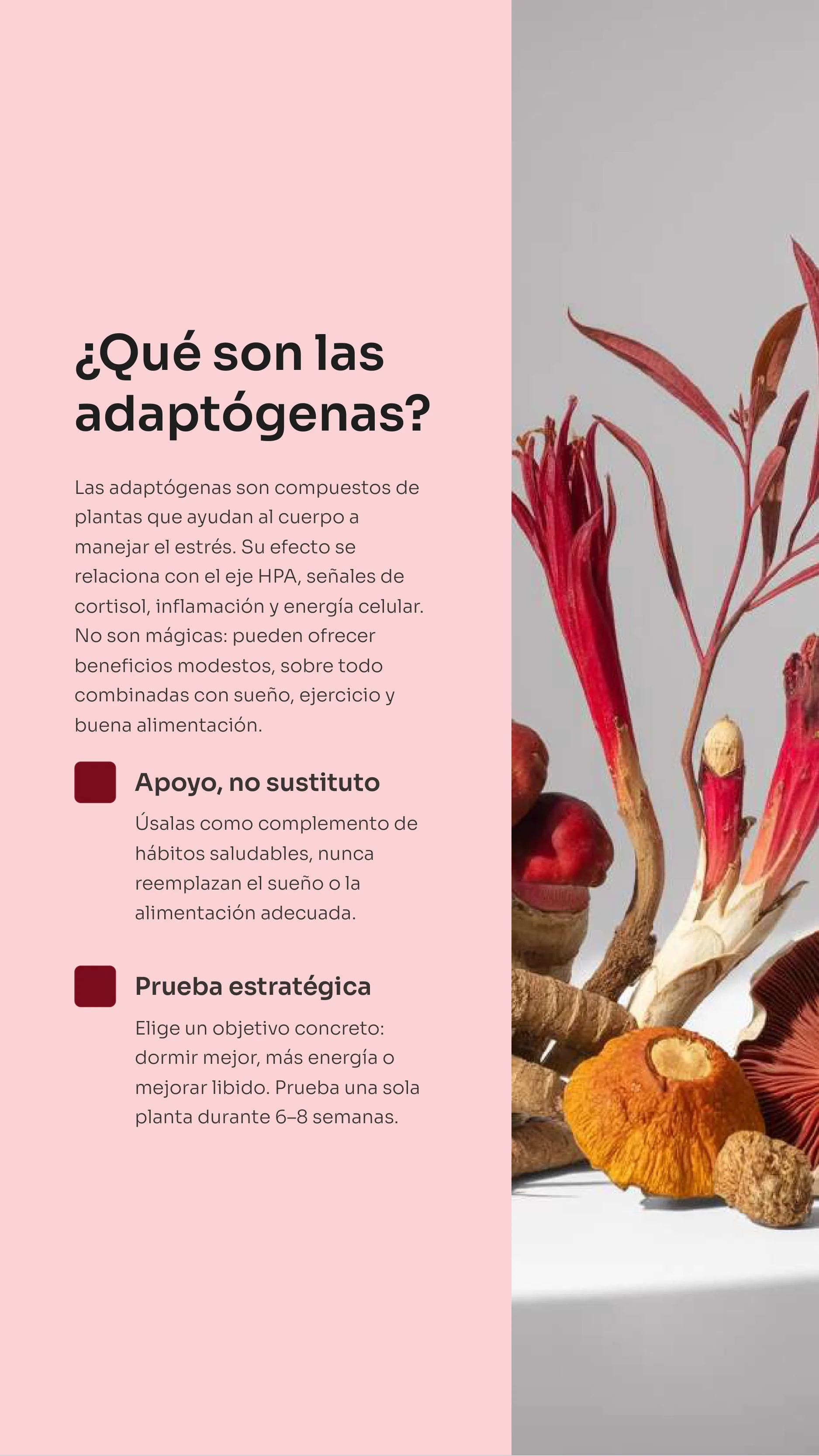 Adaptogenic Herbs: What Science Says — Page 3