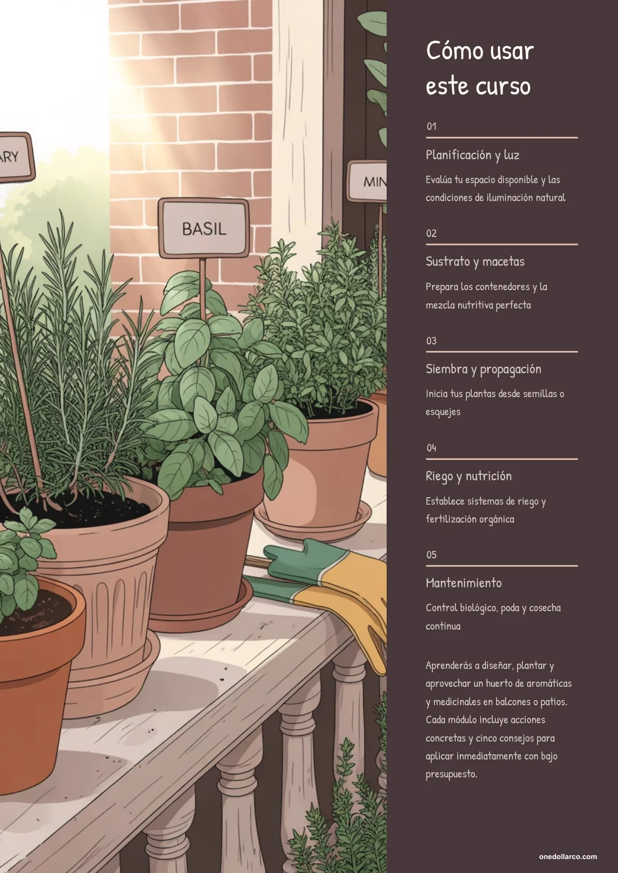 Aromatic and Medicinal Herb Garden — Page 3