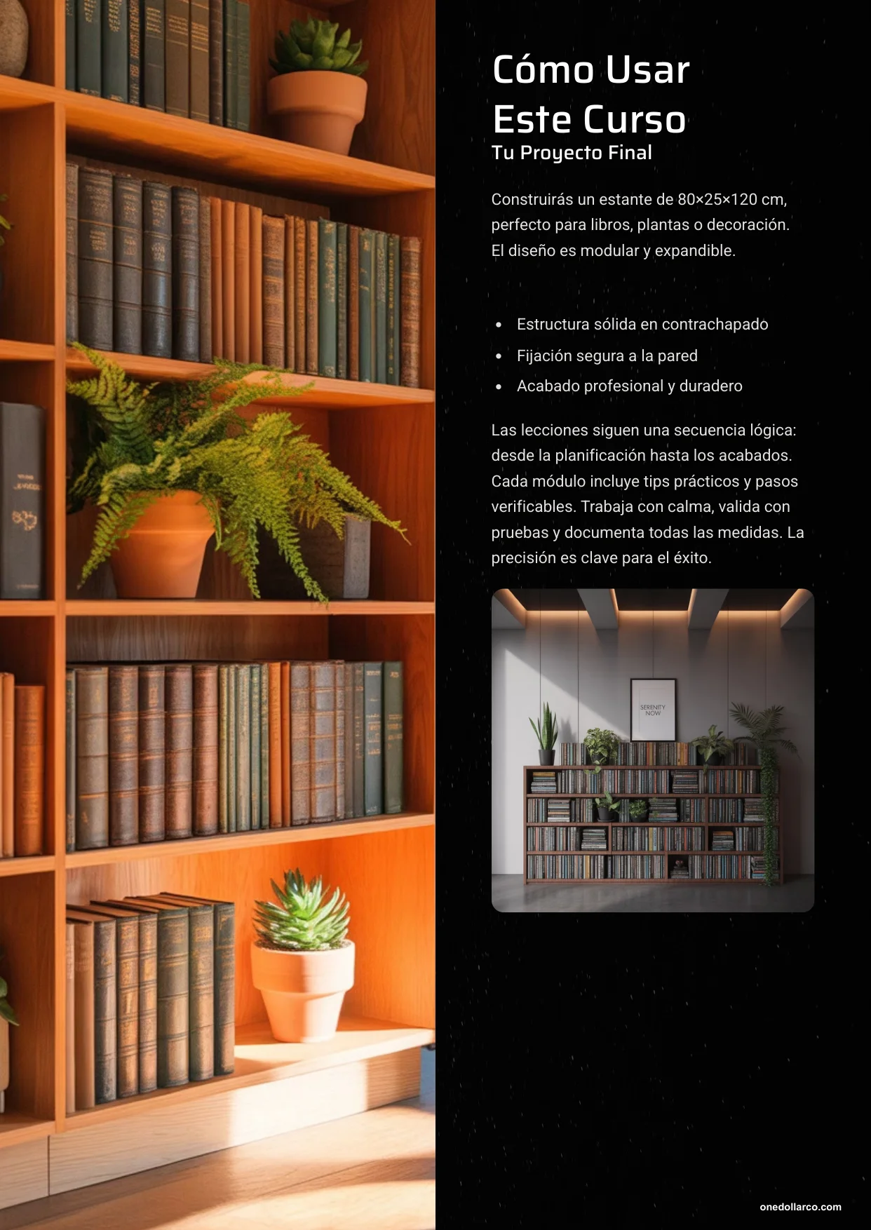 Basic Woodworking Build Your First shelf — Page 3