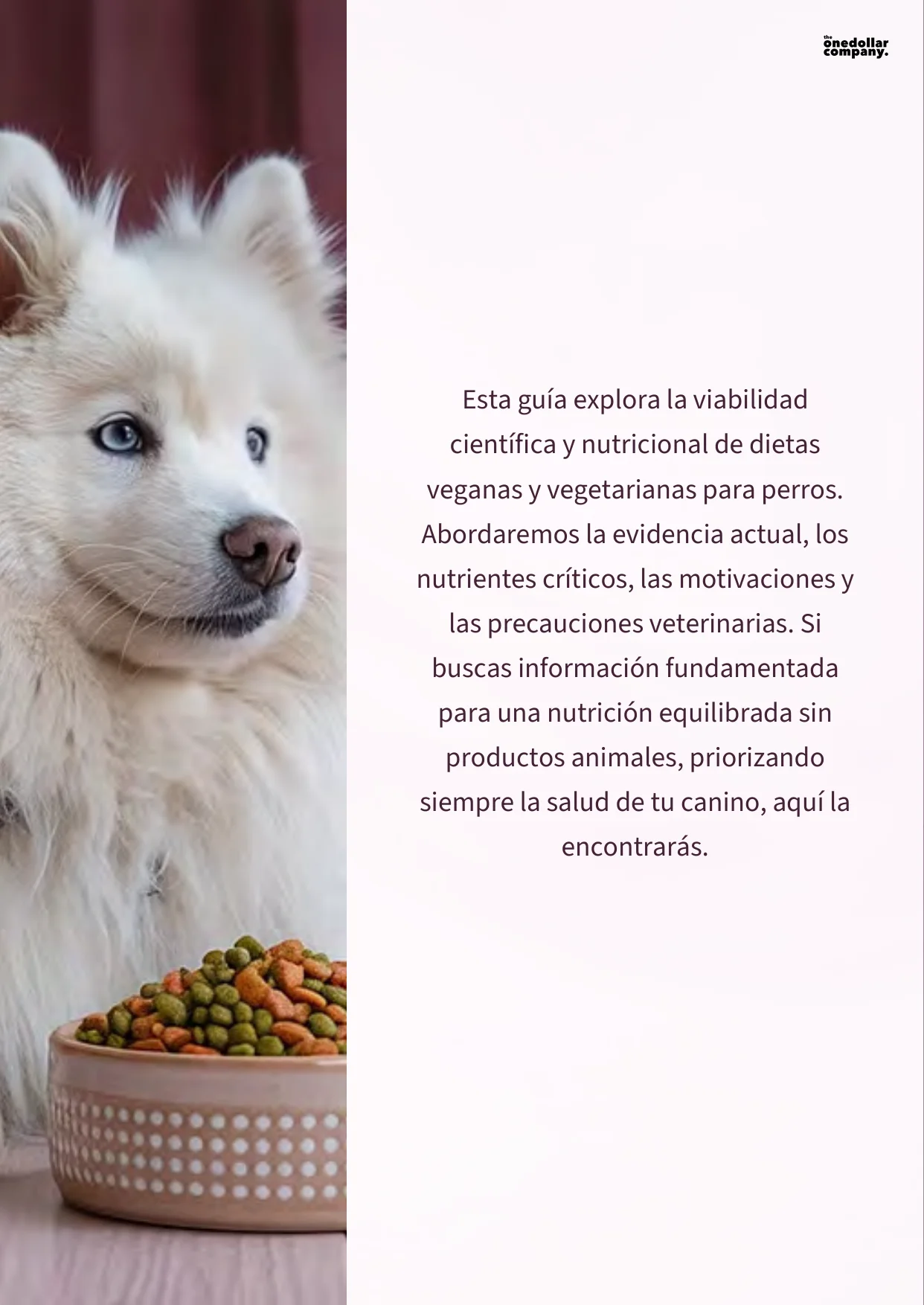 Can Your Dog Be Vegan or Vegetarian A Balanced Nutritional Guide — Page 2