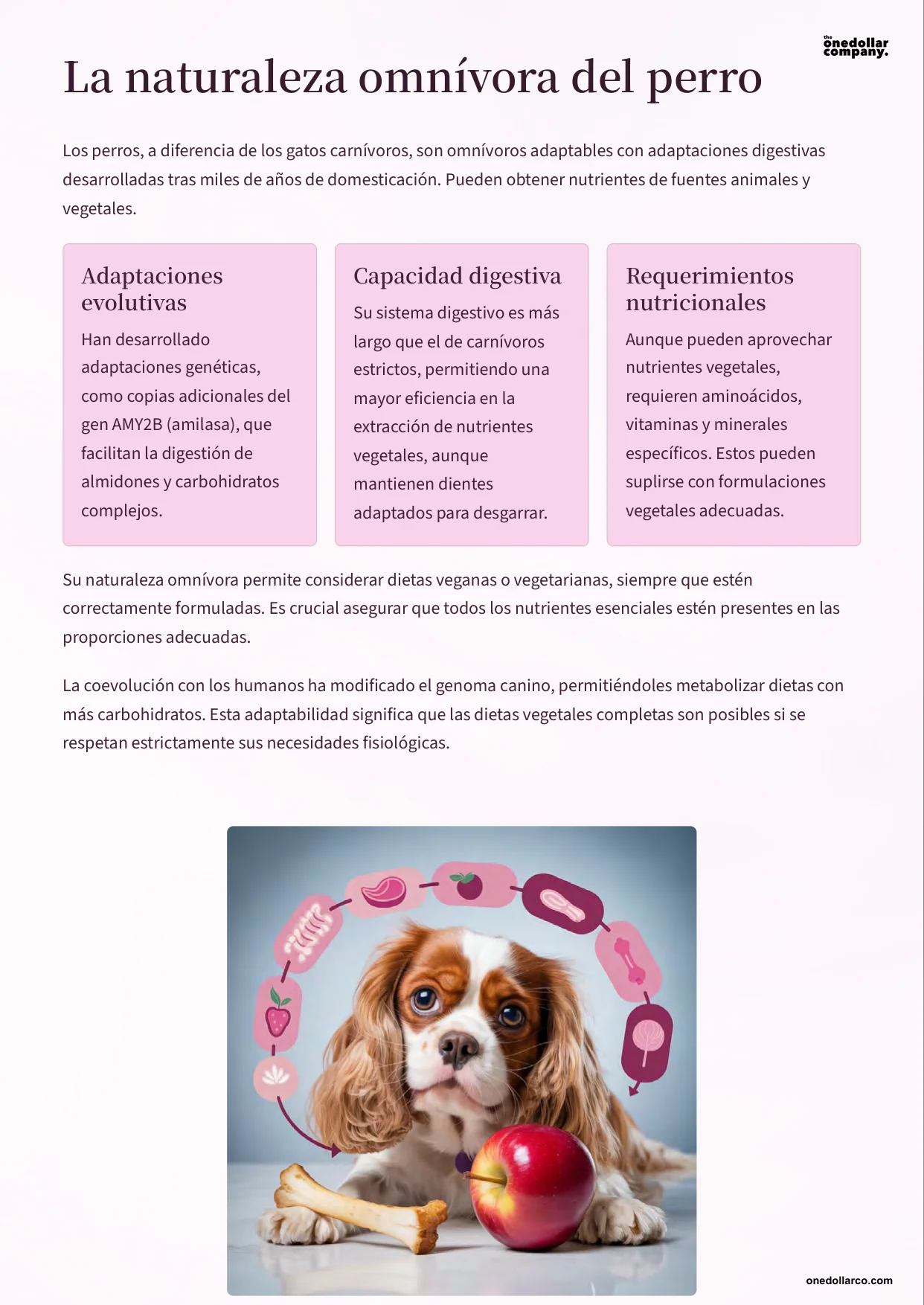 Can Your Dog Be Vegan or Vegetarian A Balanced Nutritional Guide — Page 4