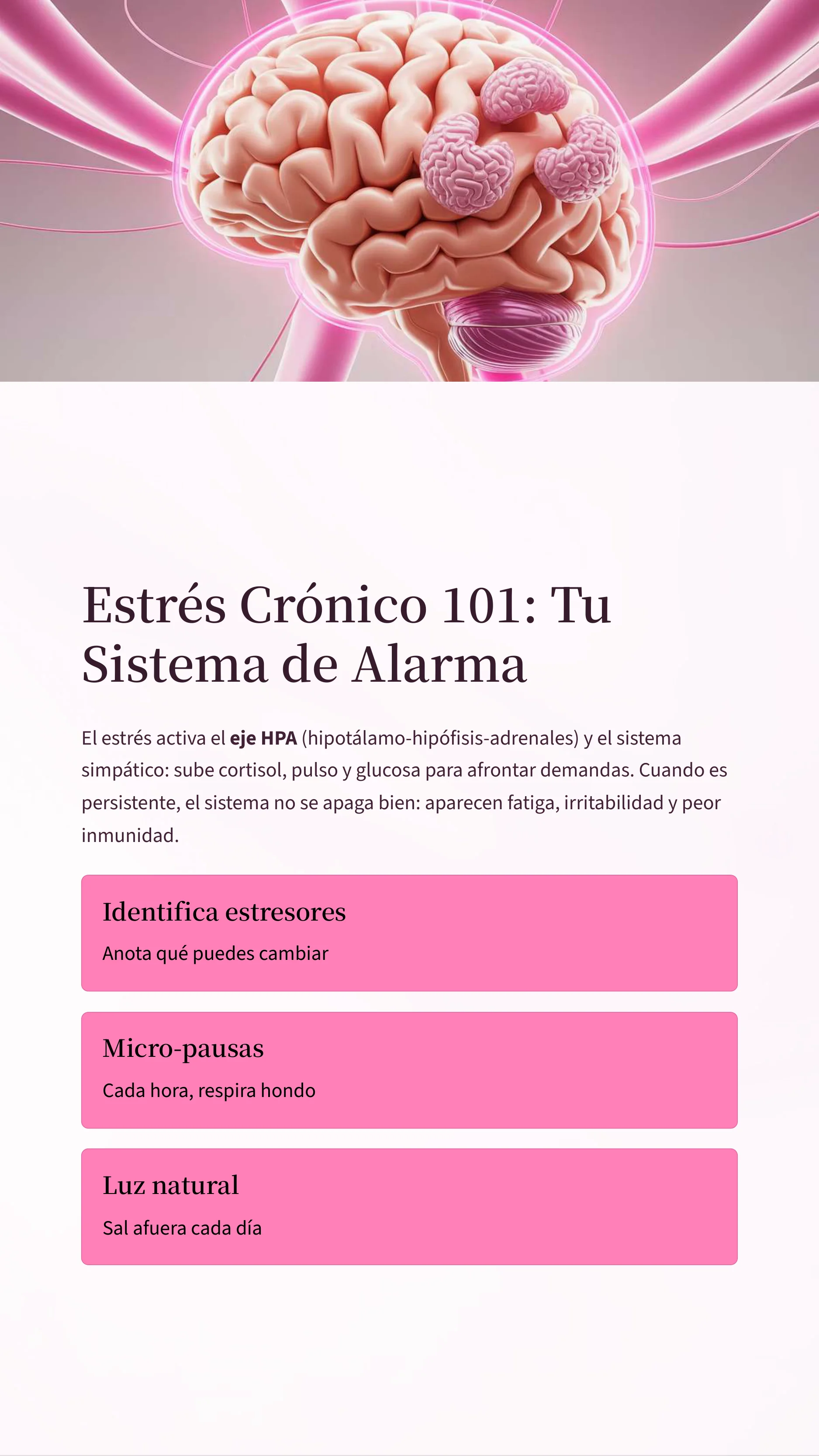 Chronic Stress: How Your Body Suffers And What To Do About It — Page 3