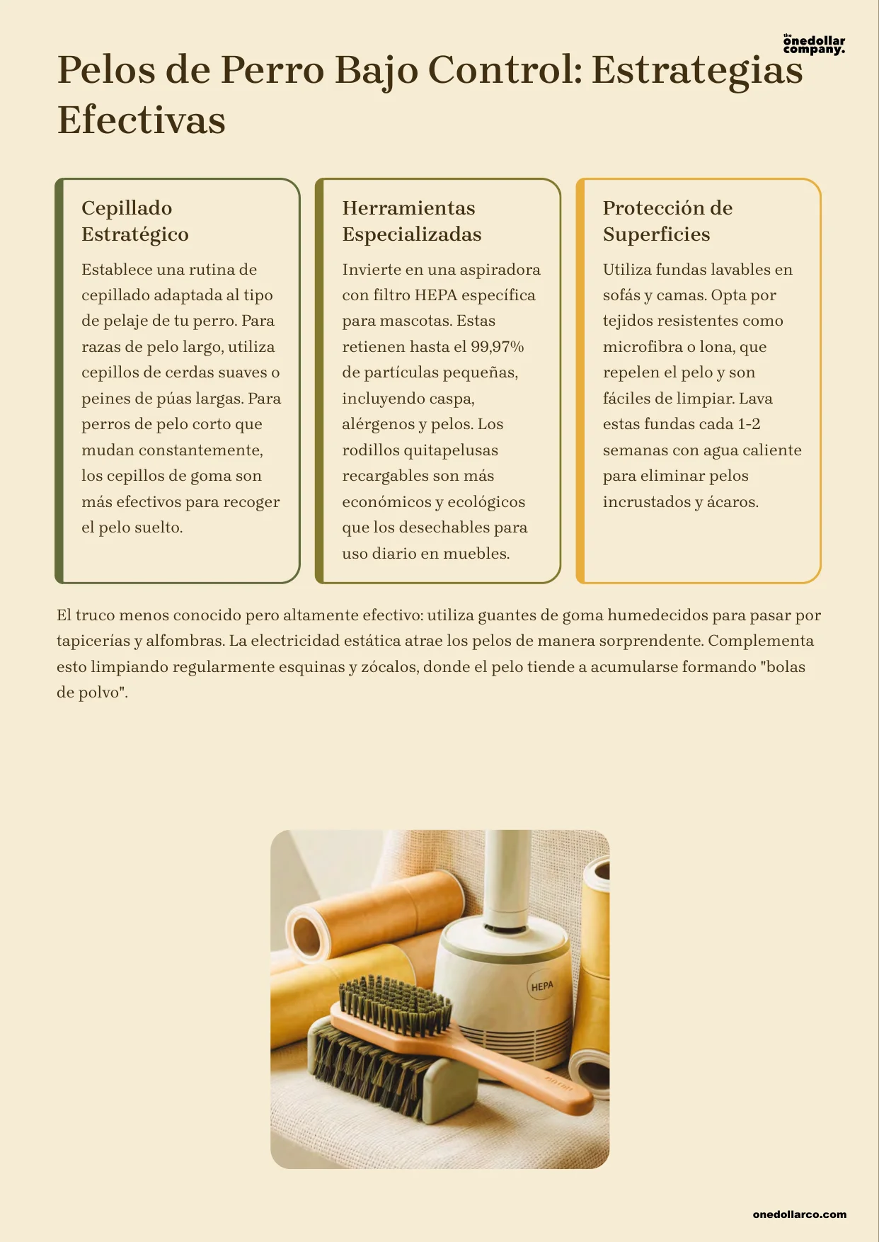 Complete Cleaning Guide for Homes with Pets — Page 4