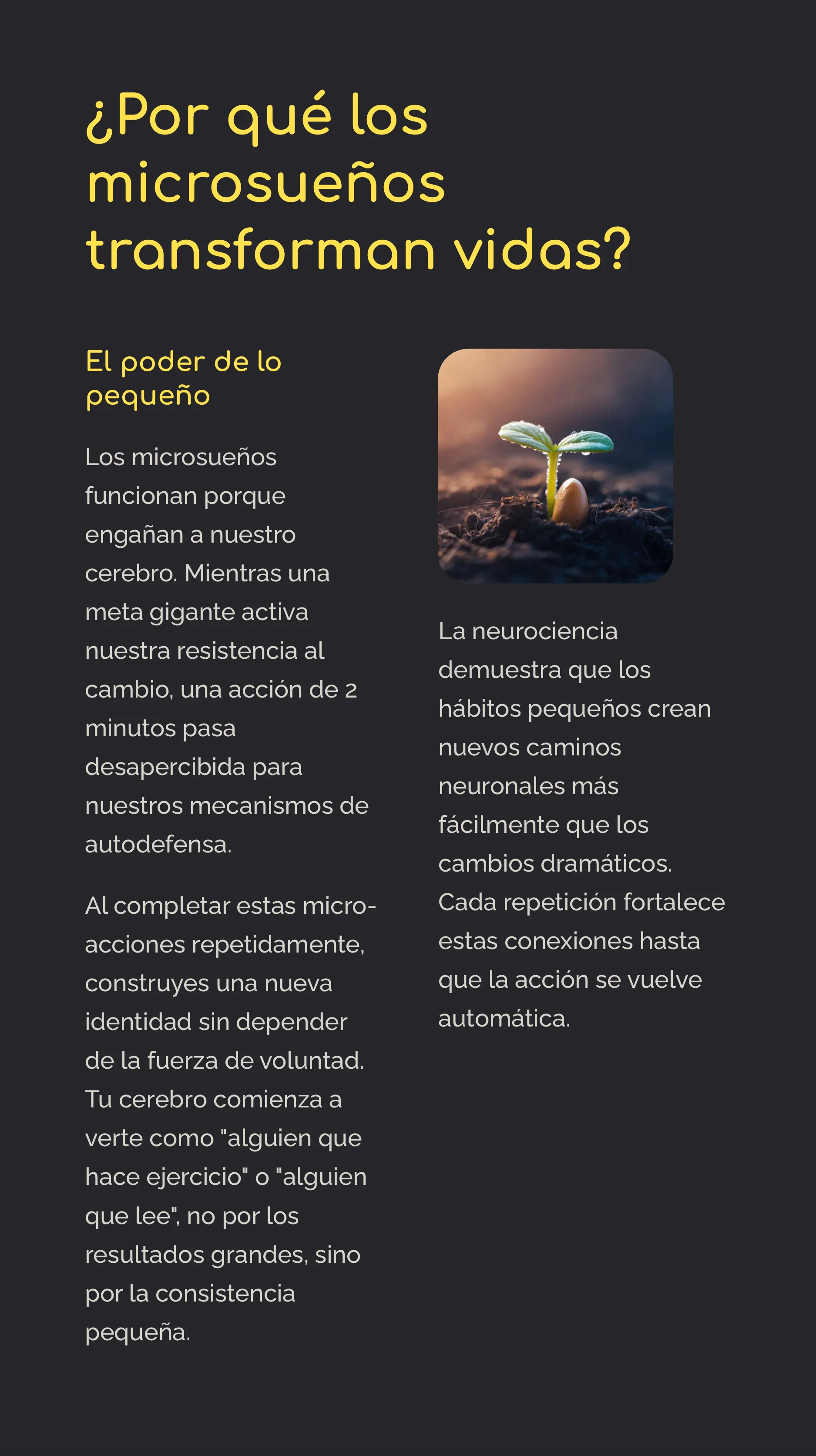 Define Your Realistic Micro Dreams — Page 3