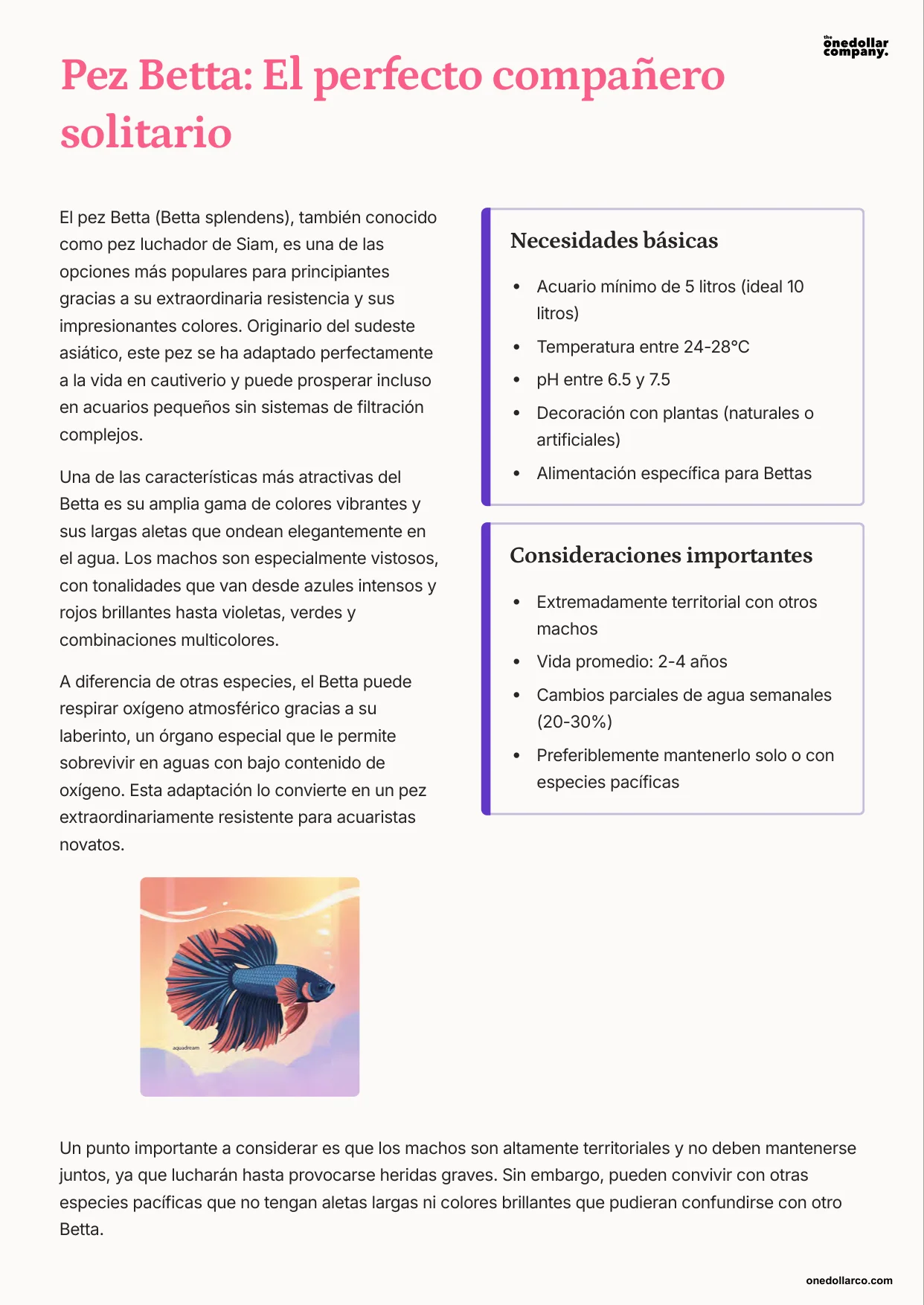 Easy Fish Breeds for Home Aquariums — Page 4