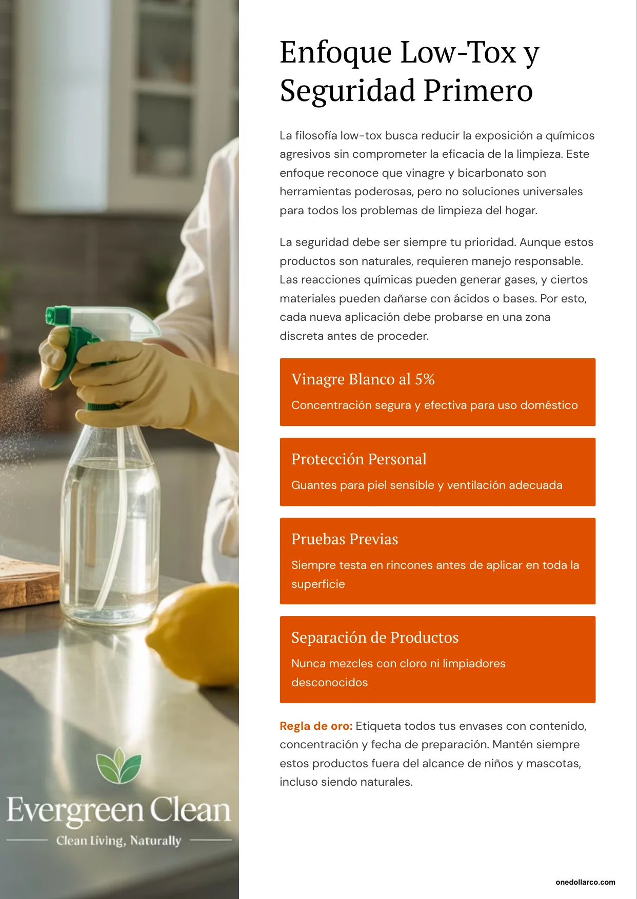 Eco Friendly Cleaning Vinegar and Baking Soda — Page 4