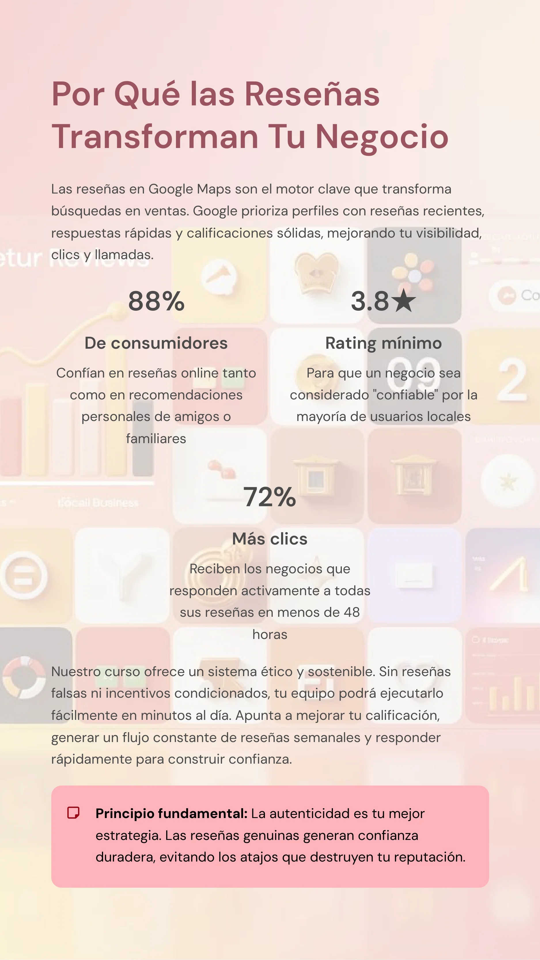 Google Maps Review Manager — Page 4