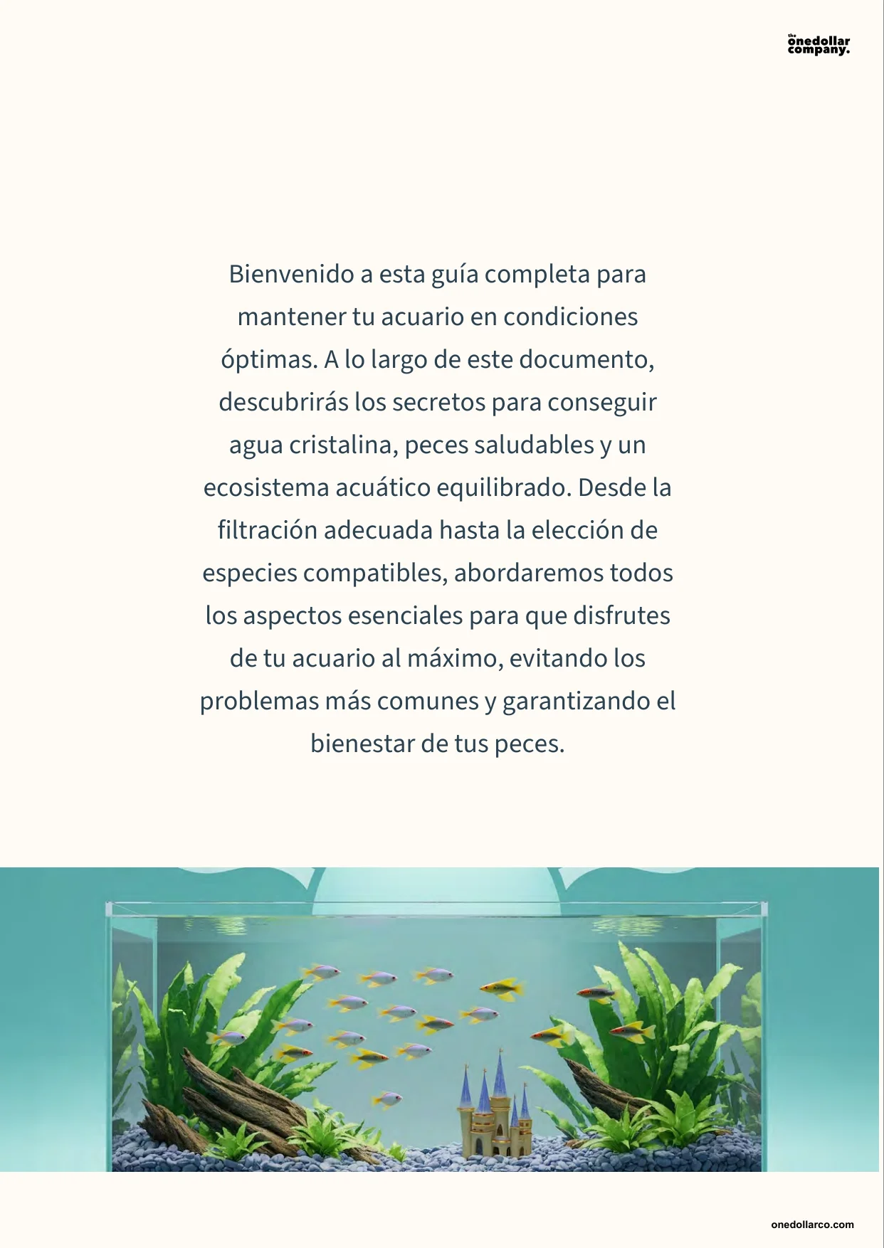 Happy Fish and Aquariums Guide to Maintaining Crystal Clear Water and Balanced Life — Page 2
