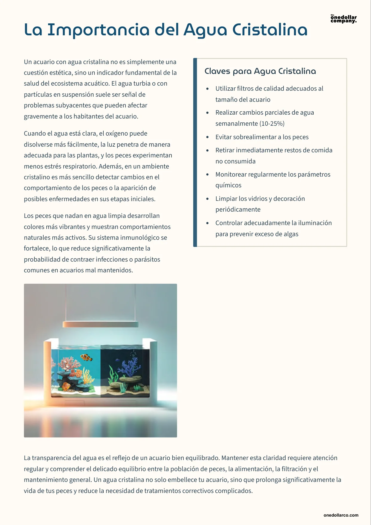 Happy Fish and Aquariums Guide to Maintaining Crystal Clear Water and Balanced Life — Page 4
