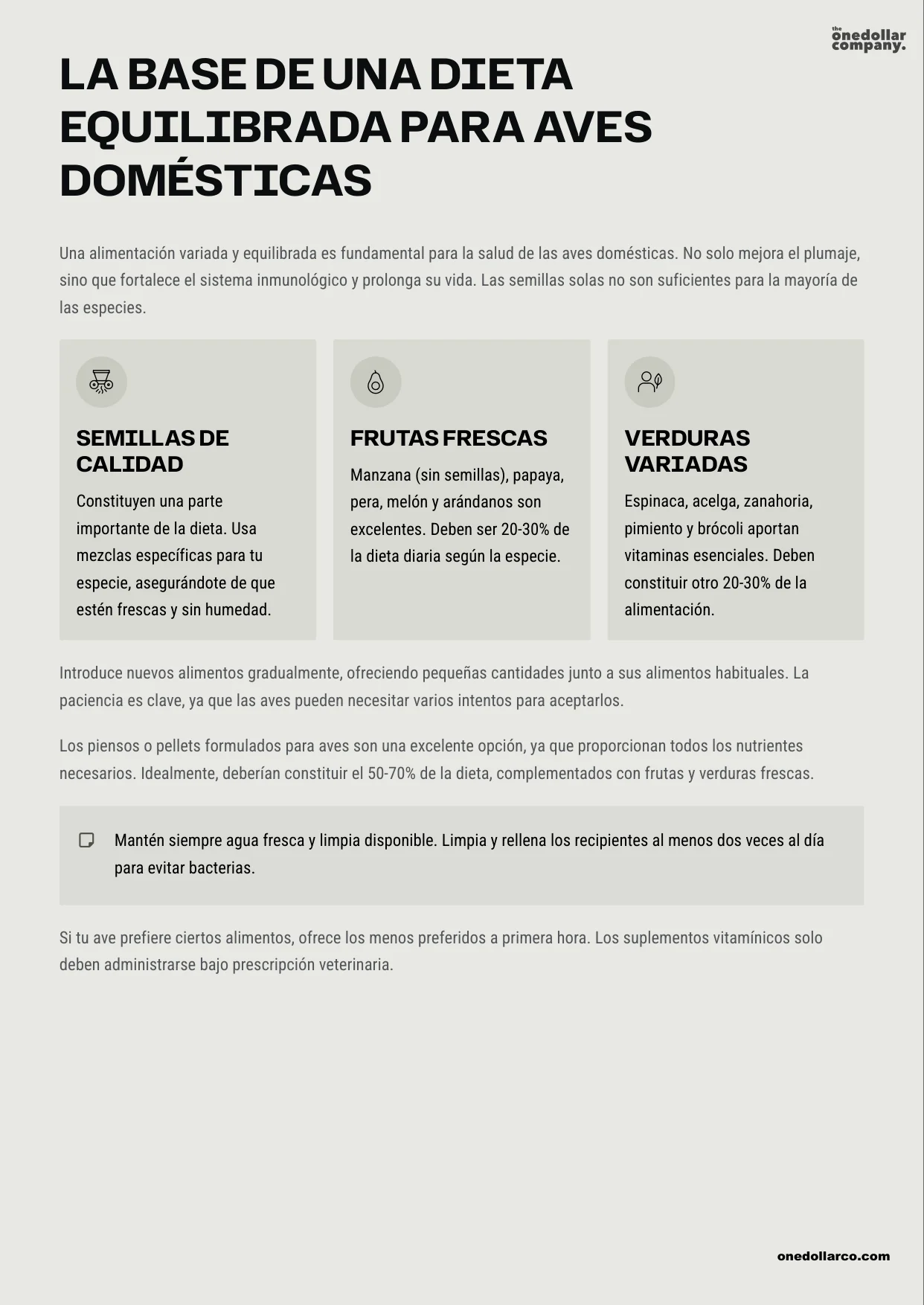 Healthy Birds Nutrition Cleaning and Ideal Environment in Your Home — Page 3