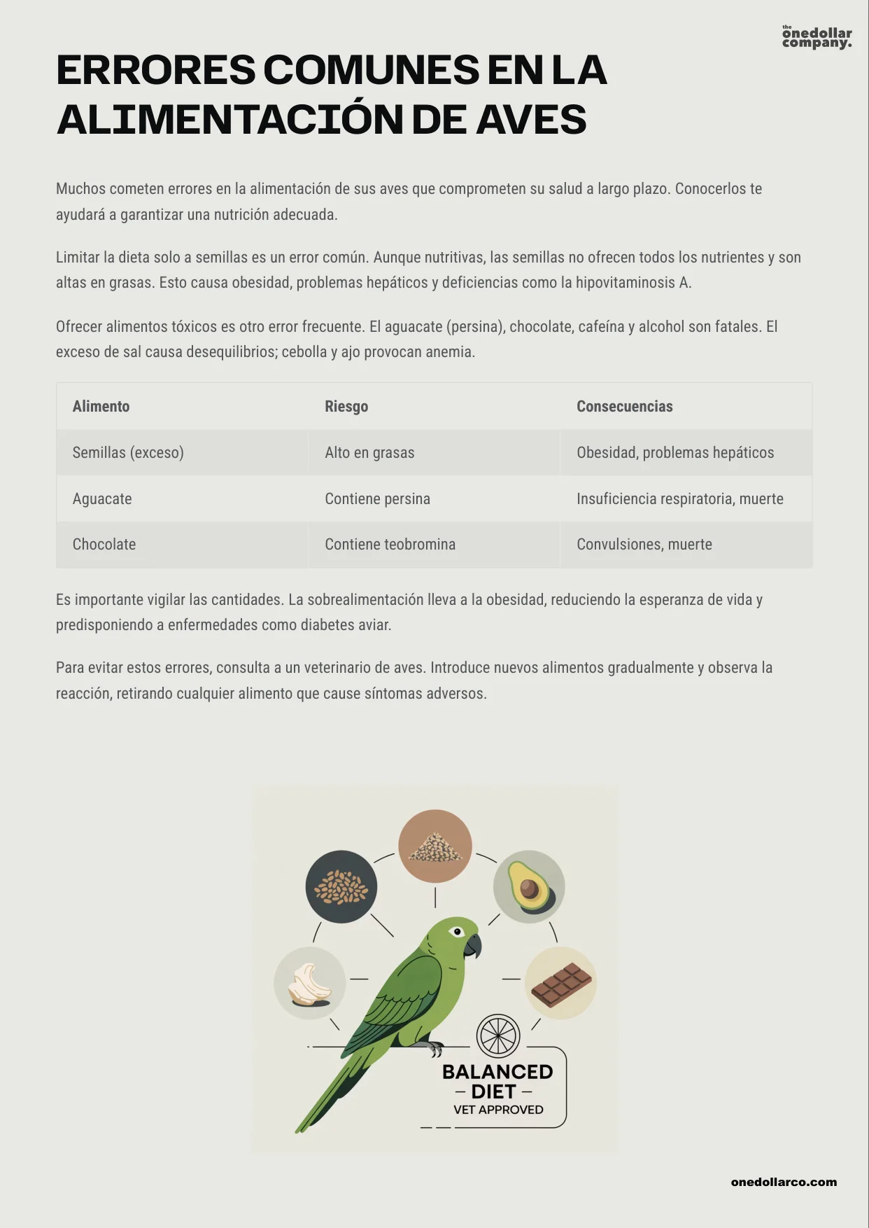 Healthy Birds Nutrition Cleaning and Ideal Environment in Your Home — Page 4