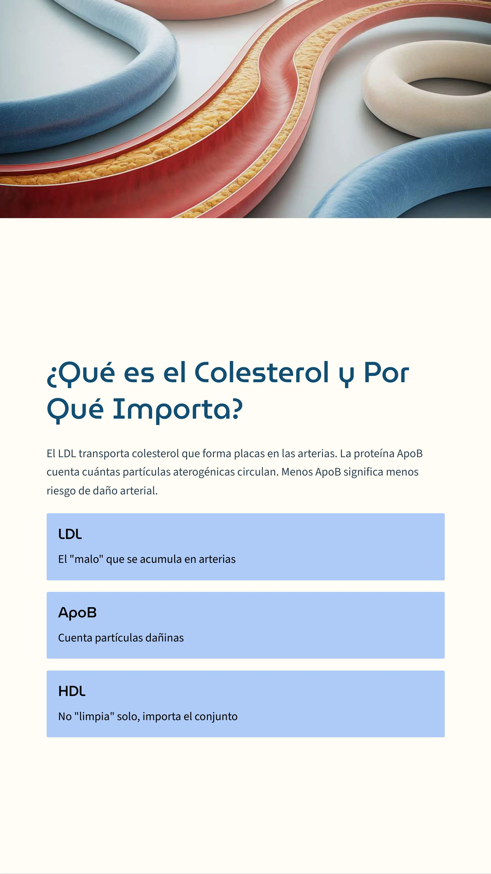 High Cholesterol: Complete Guide To Treatment And Prevention — Page 3