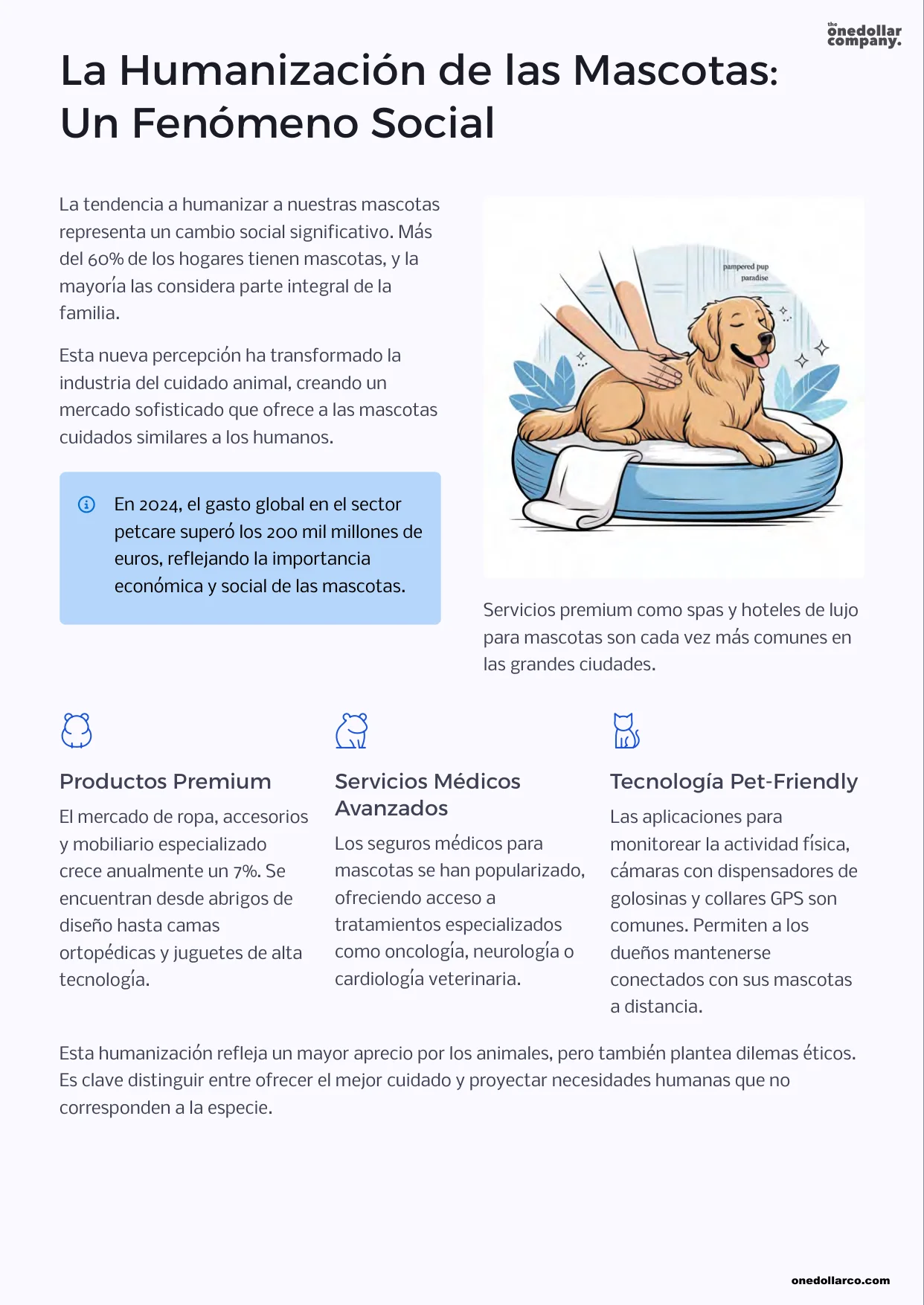 How to Care for Your Pet as If They Were Part of the Family — Page 4