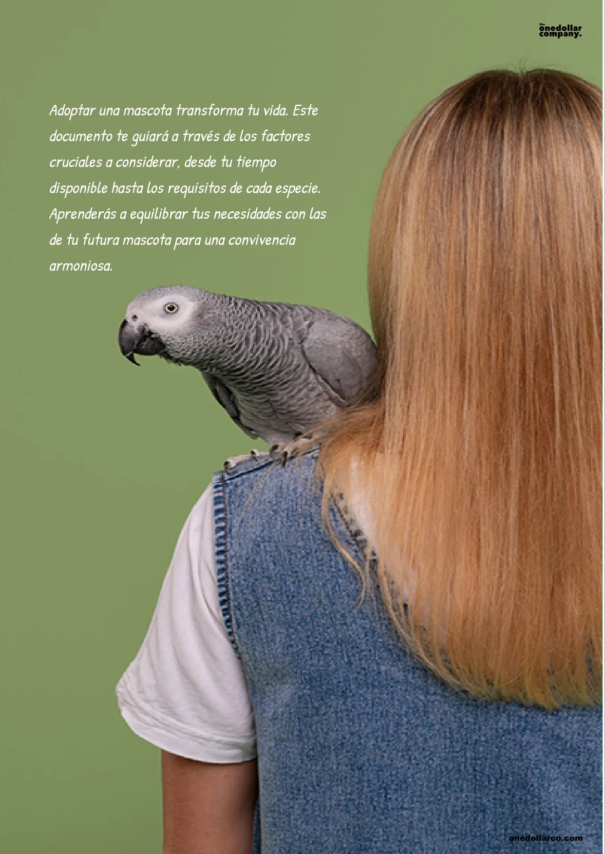 How to Choose the right pet for our lifestyle — Page 2