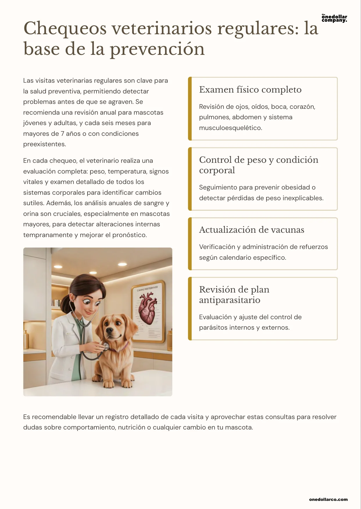 How to Prevent Common Diseases in Cats and Dogs Basic Guidelines and Veterinary Resources — Page 4