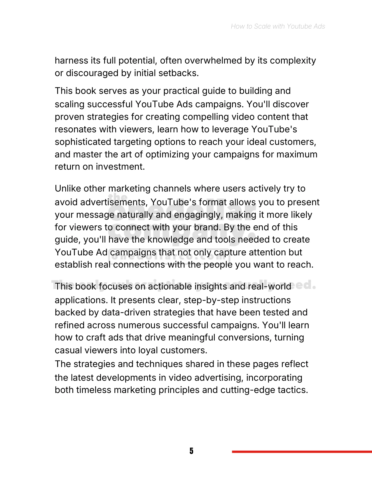 How to Scale with Youtube Ads — Page 6