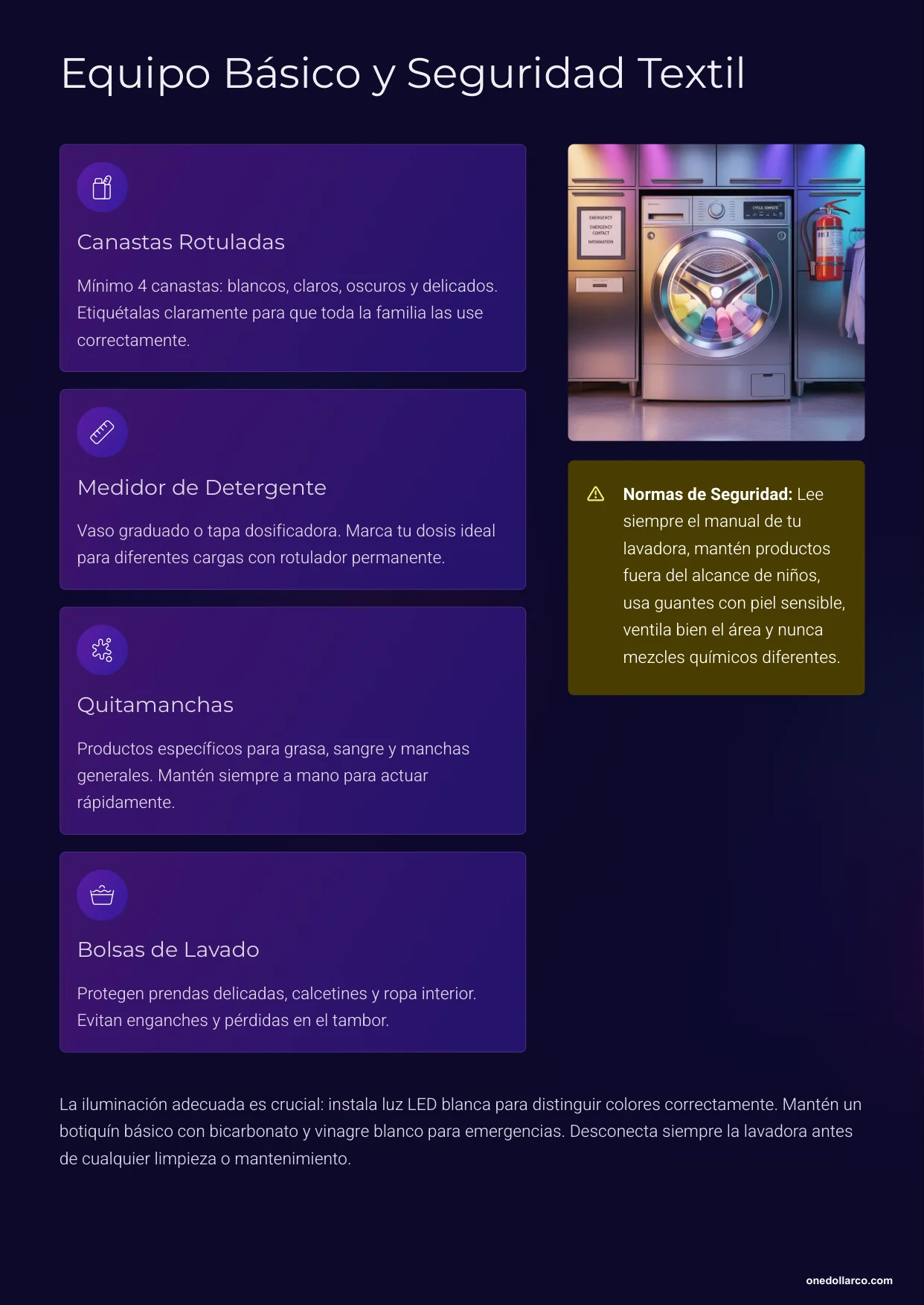 Laundry 1010 Your Complete Guide to Sorting Dosing and Hanging Dry — Page 4