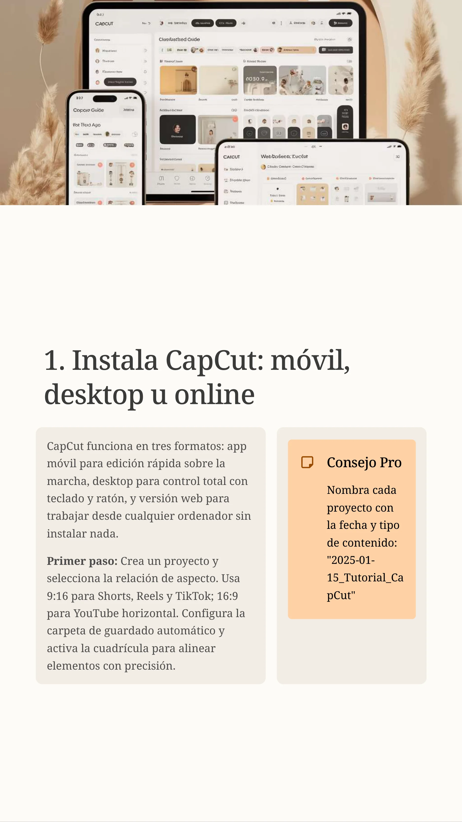 Master CapCut In 15 Steps — Page 5