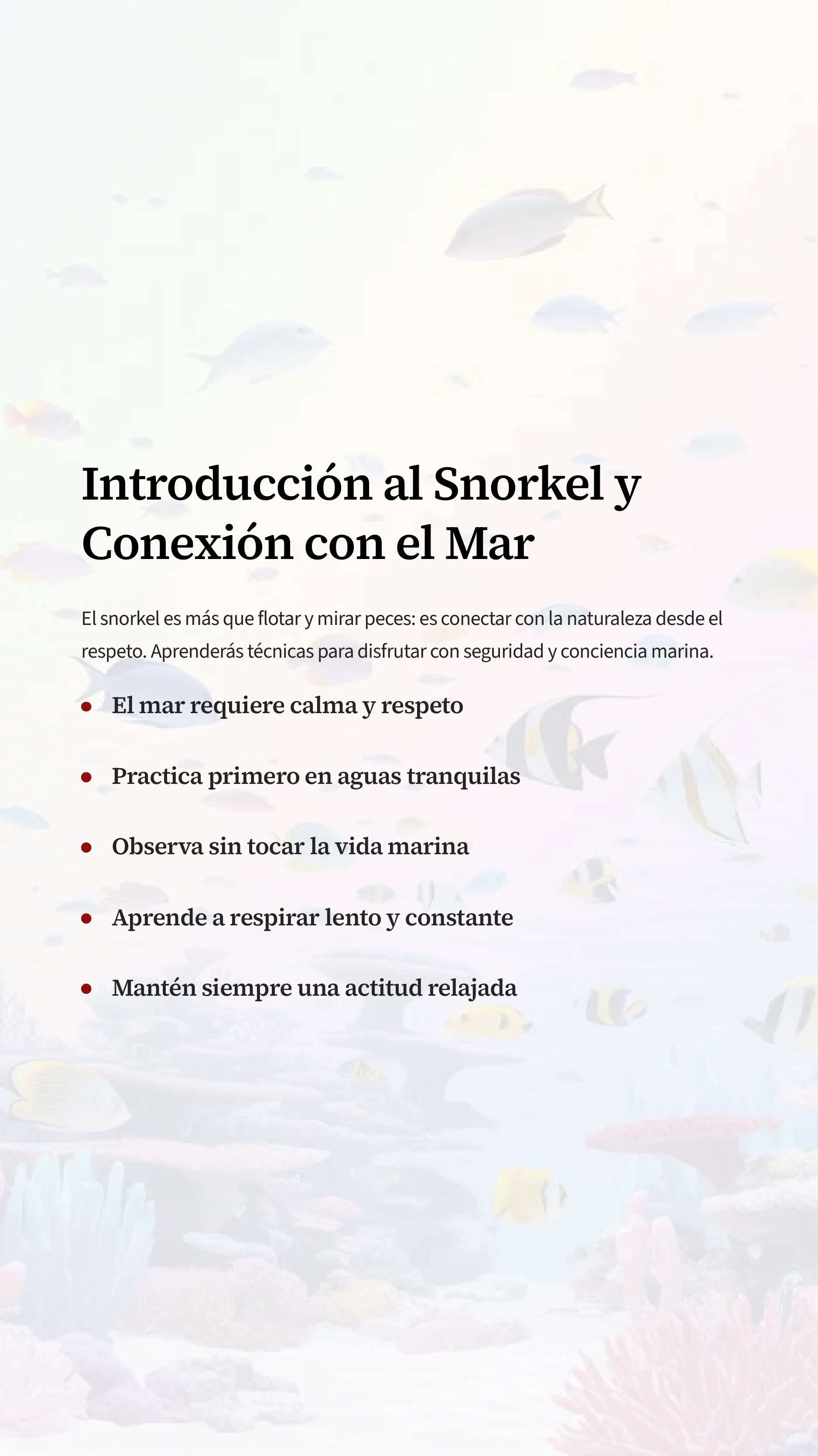 Master Snorkeling And Connect With The Sea — Page 3