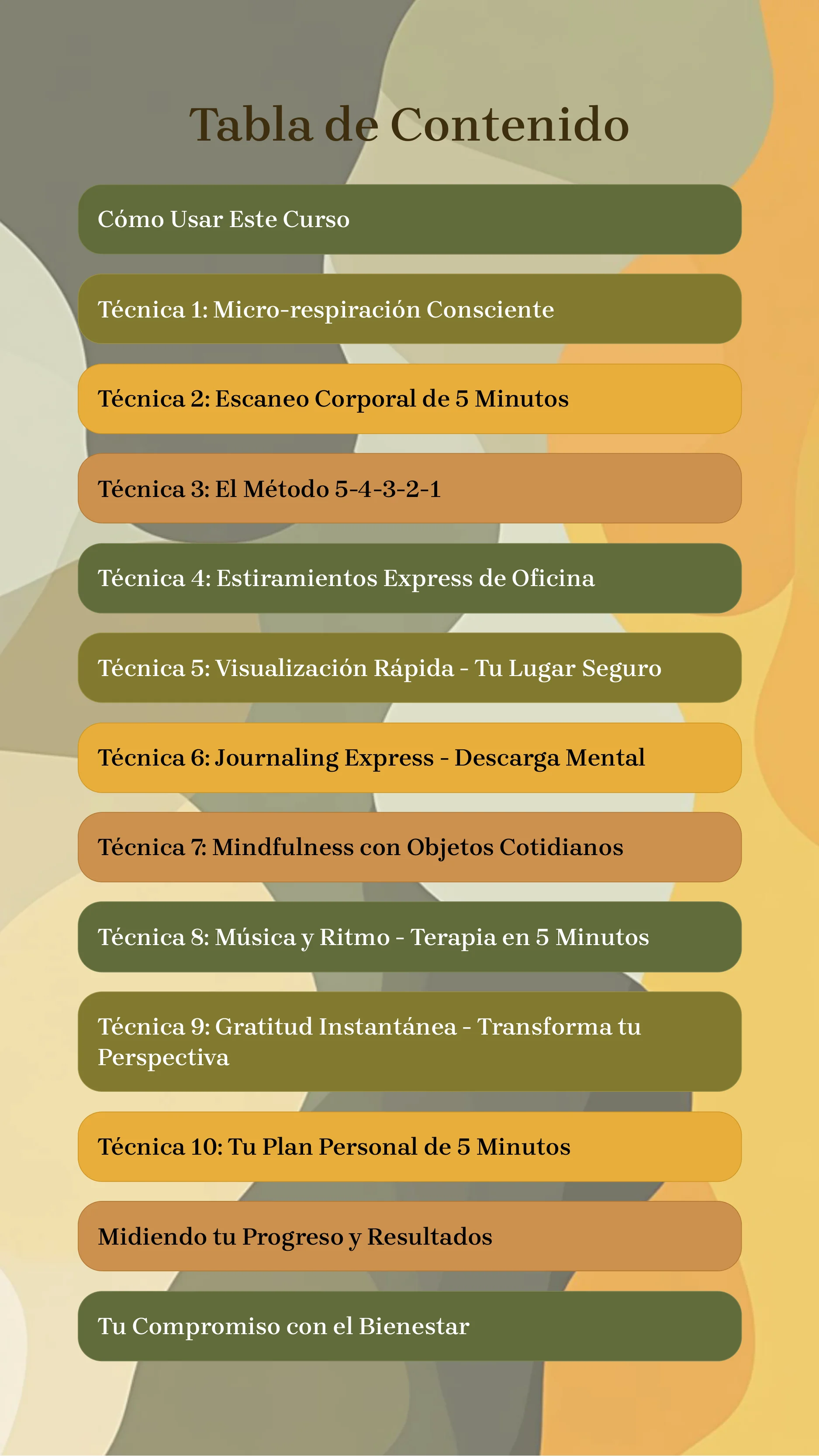Master Your Stress in 5 Minutes Daily — Page 2