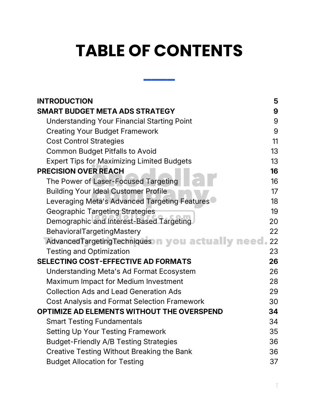 Meta Ads Made Affordable — Page 2