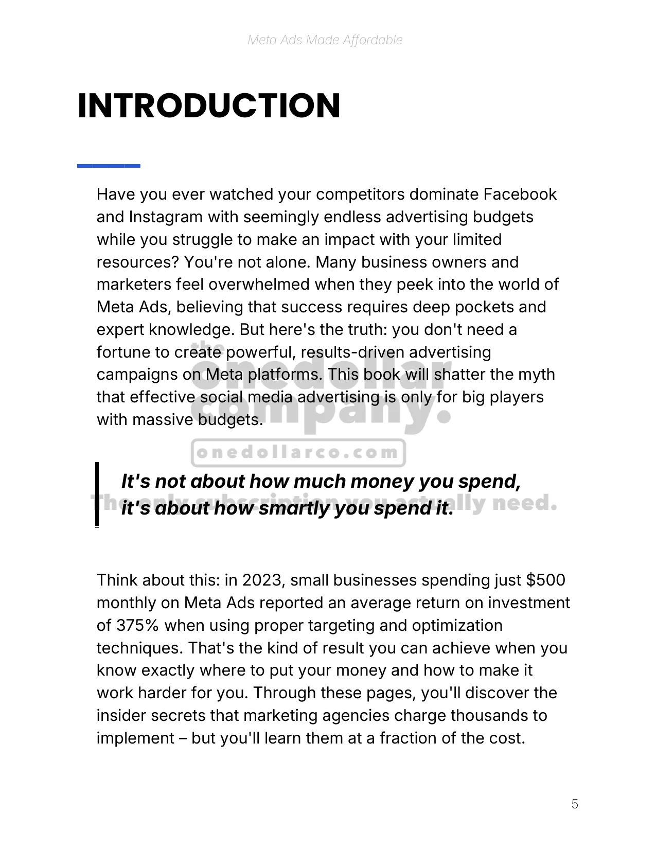 Meta Ads Made Affordable — Page 6
