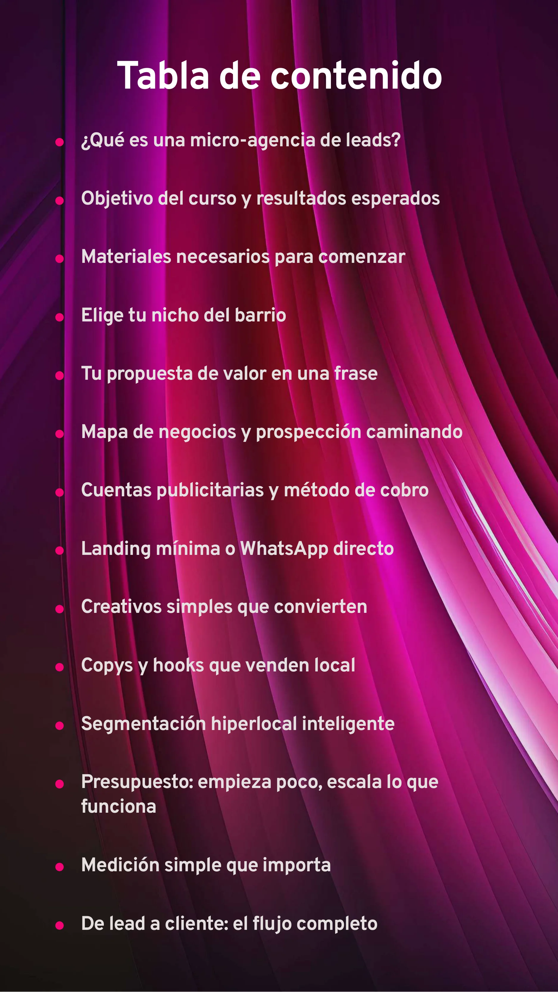 Micro Lead Agency — Page 2
