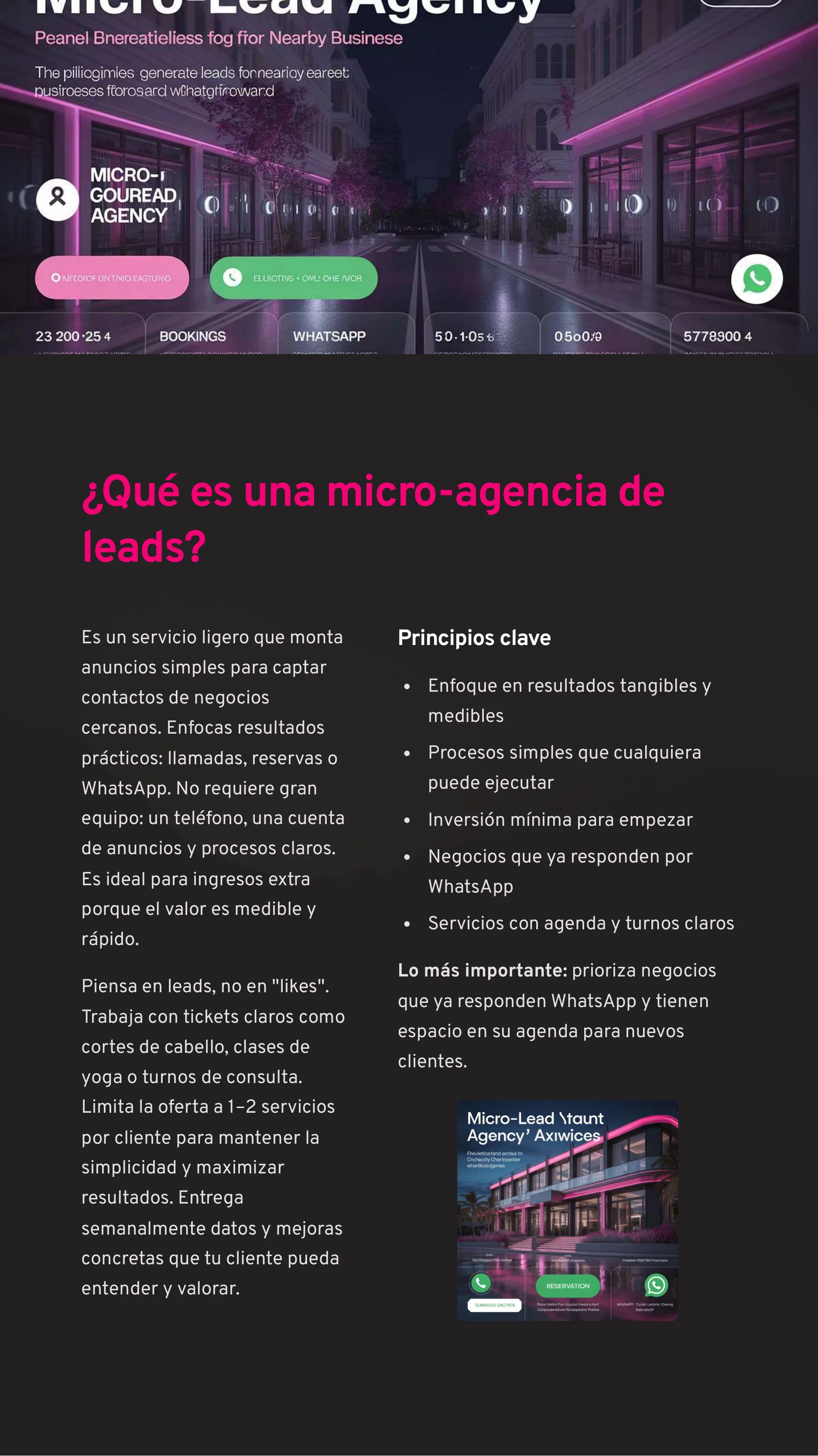Micro Lead Agency — Page 3