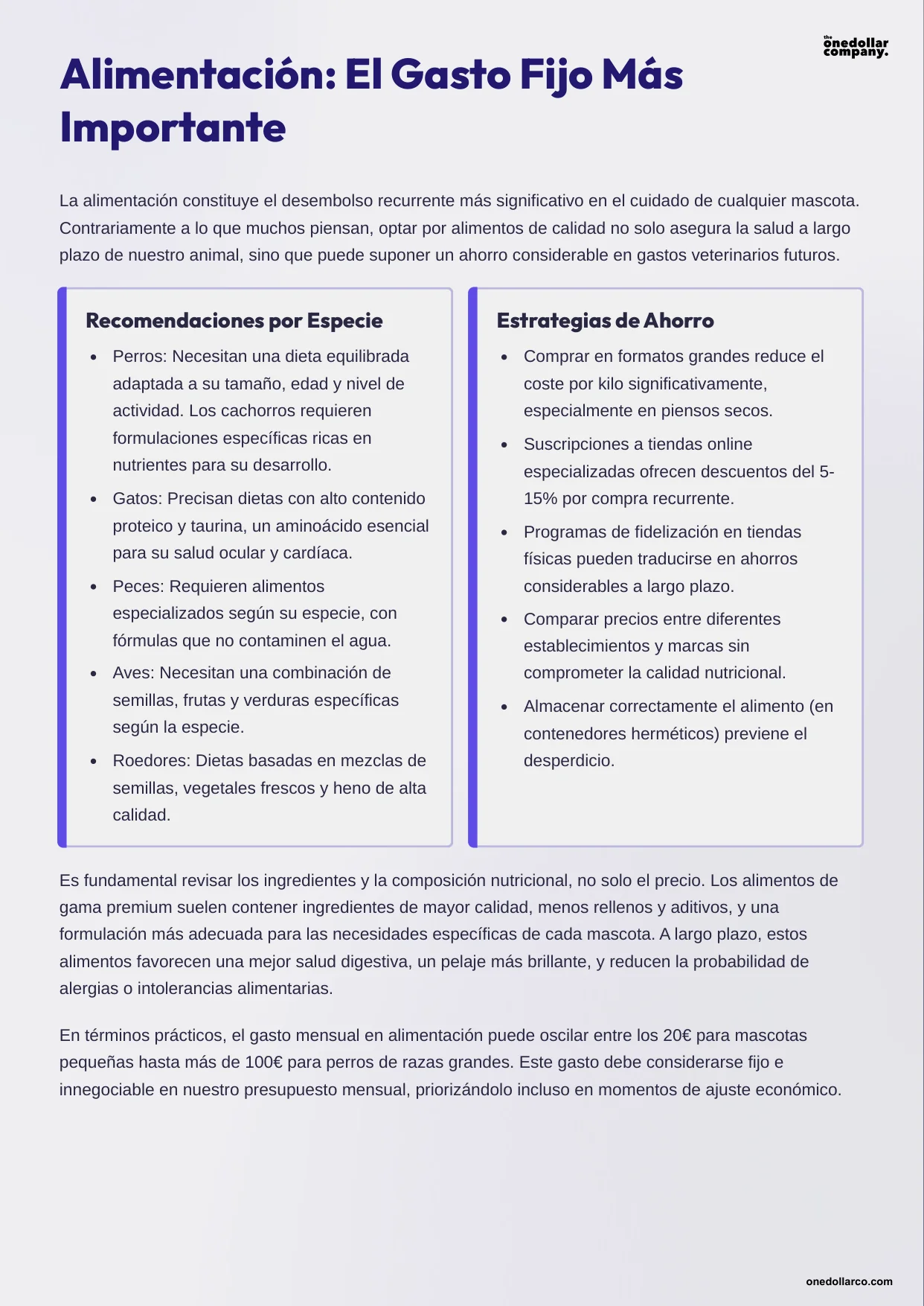 Monthly Pet Budget A Comprehensive Pet friendly Financial Planning Guide — Page 4