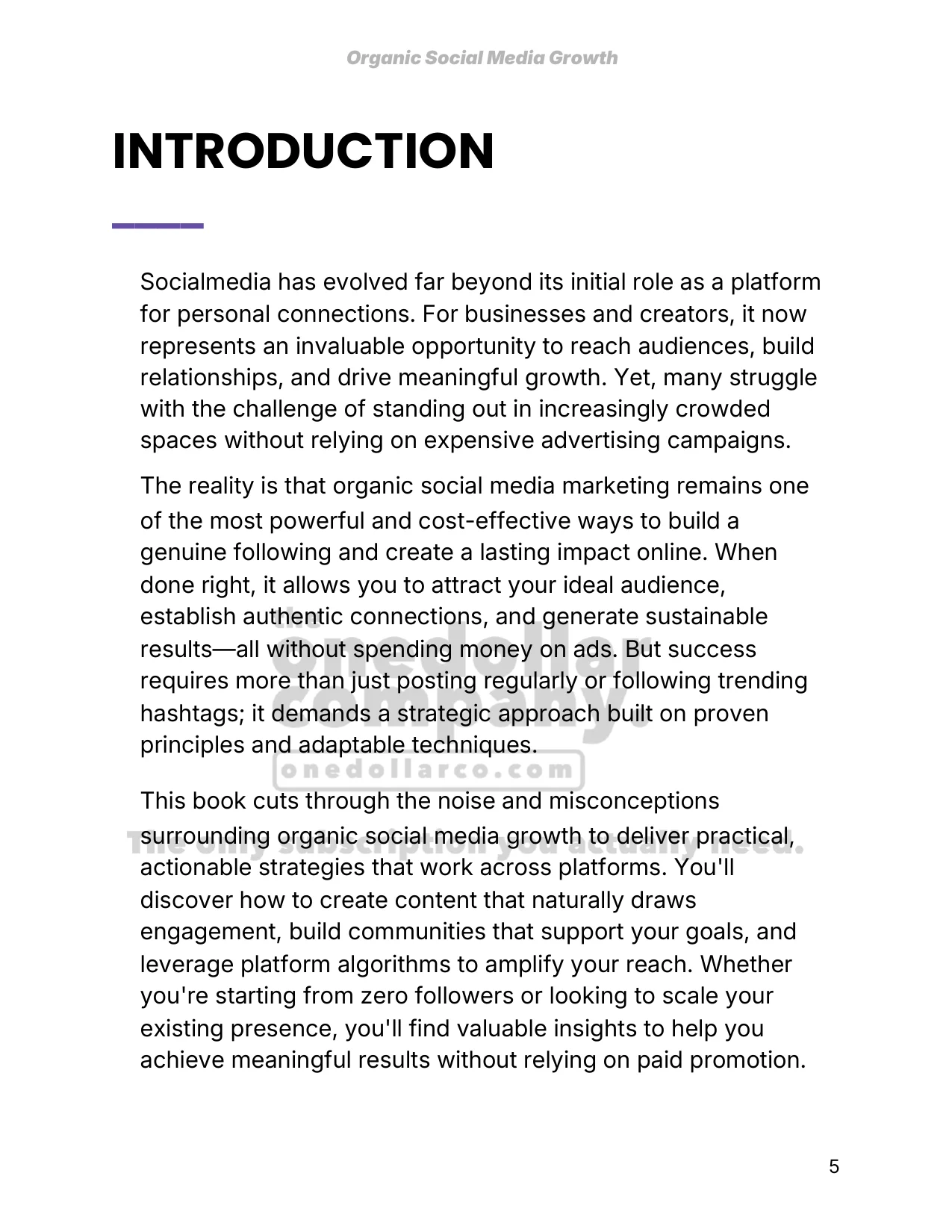 Organic Social Media Growth — Page 6