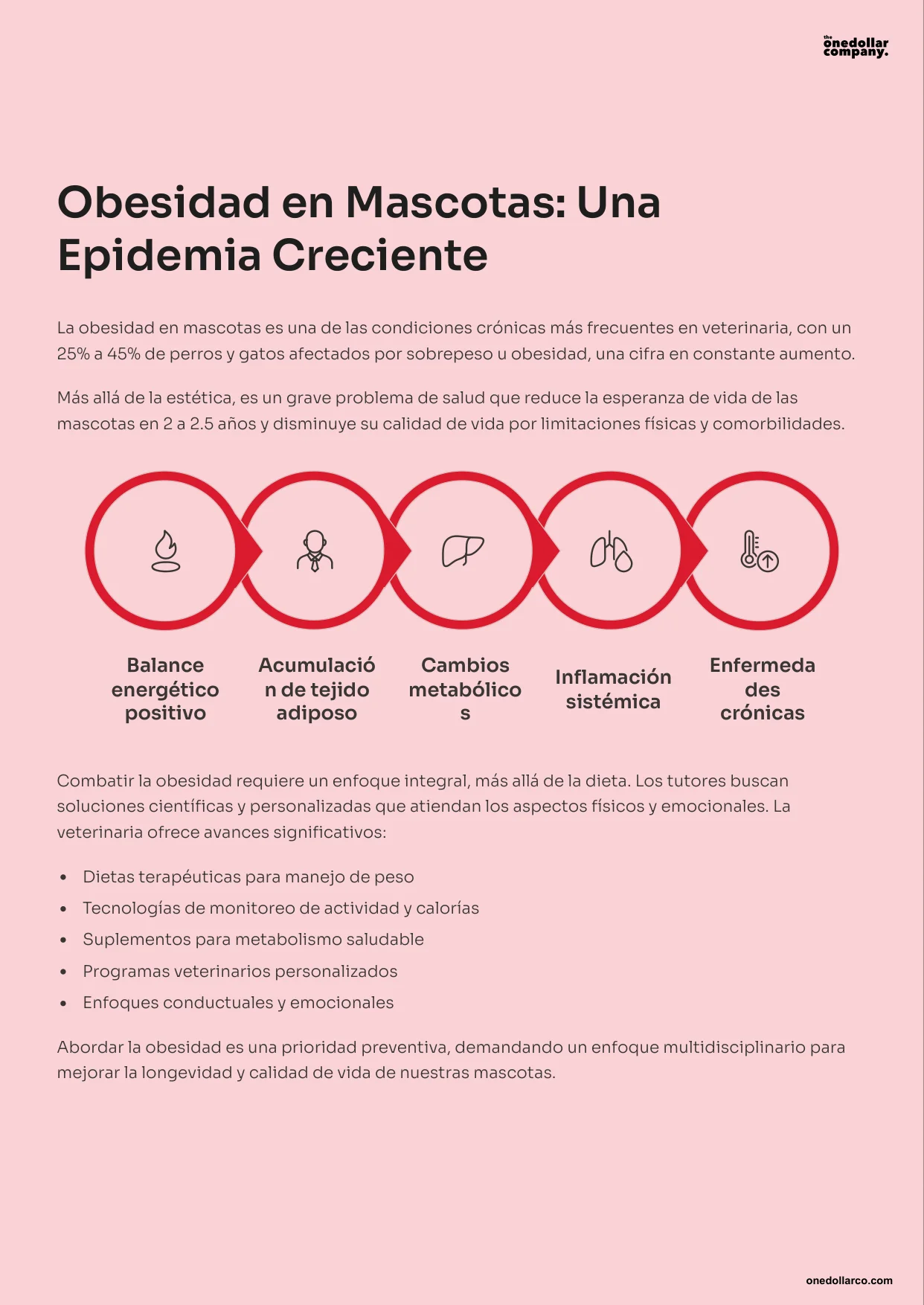 Pet Obesity Risks and Effective Solutions — Page 4