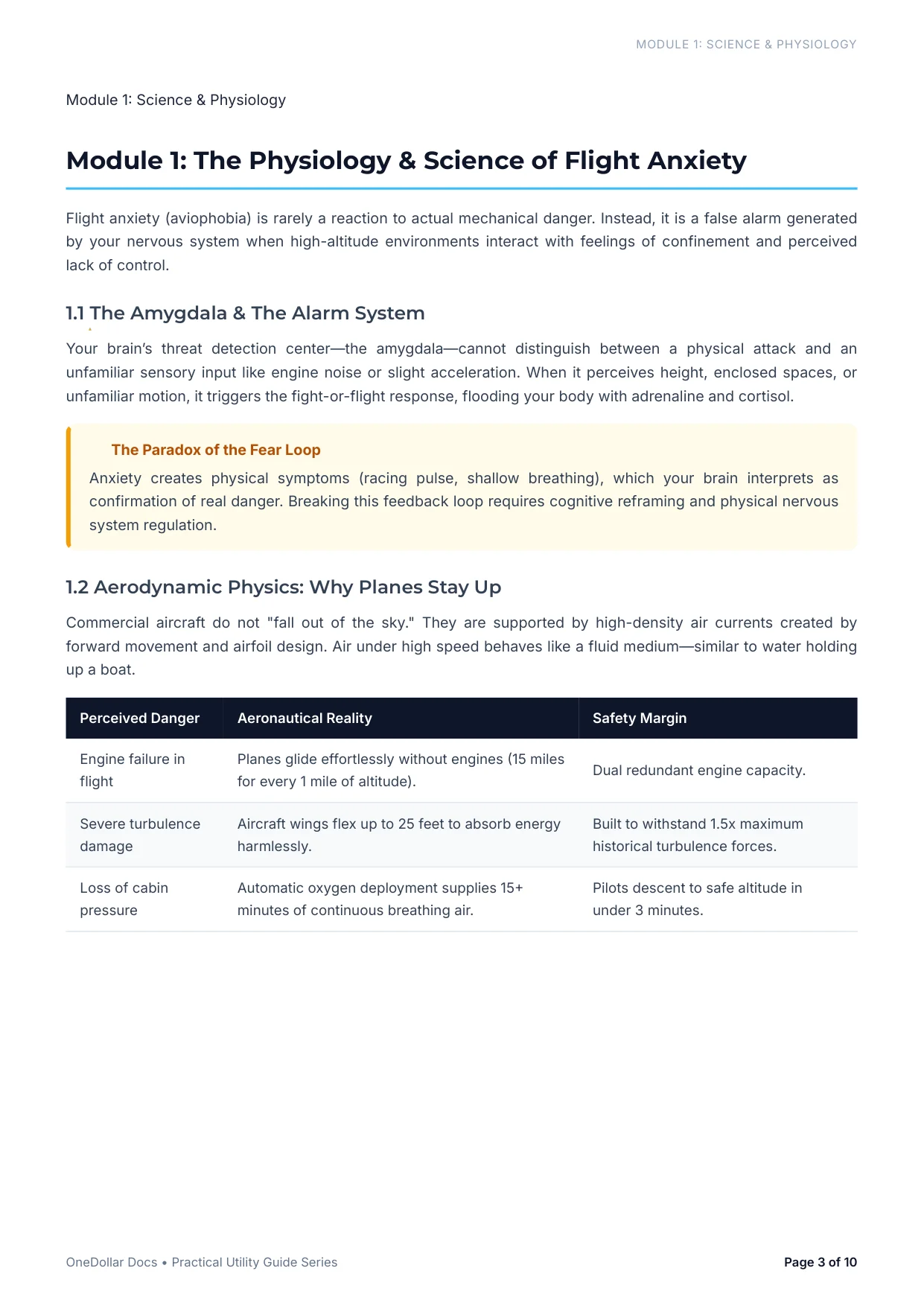 Practical Guide to Flying Without Fear — Page 3