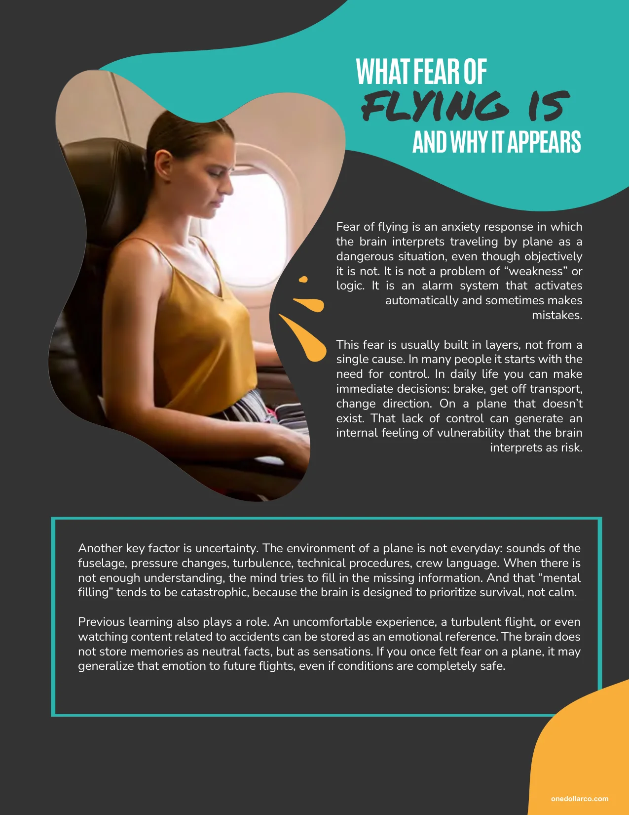 Practical Guide to Flying Without Fear — Page 4