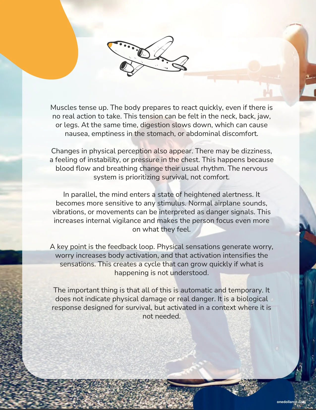 Practical Guide to Flying Without Fear — Page 6