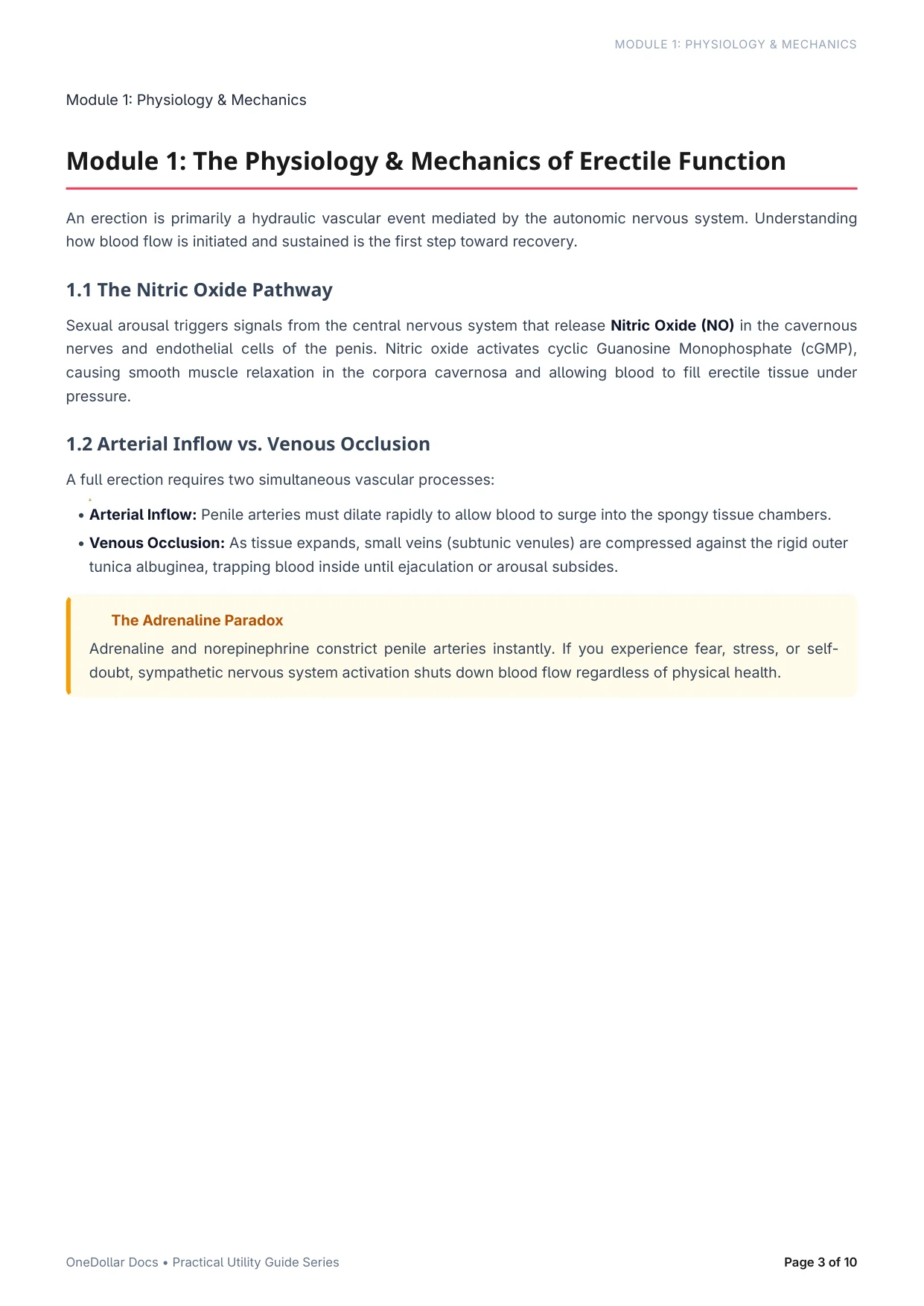 Practical Guide to Improving Erectile Dysfunction — Page 3