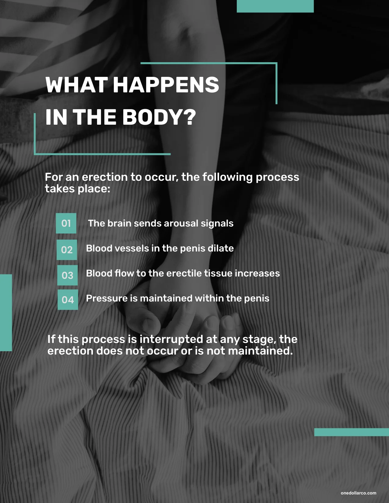 Practical Guide to Improving Erectile Dysfunction — Page 5