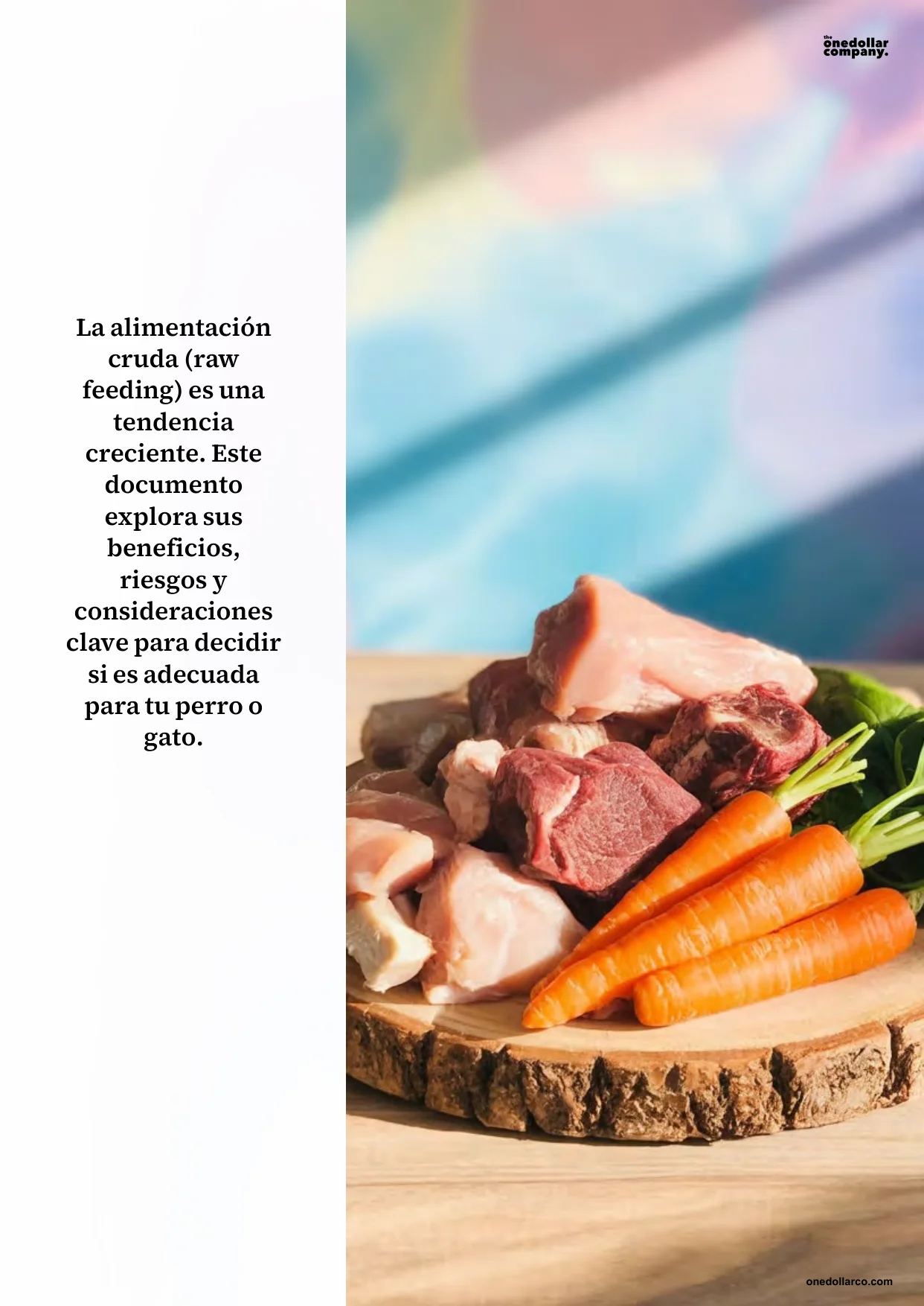 Raw Feeding Is a Raw Diet Right for Your Pet — Page 2