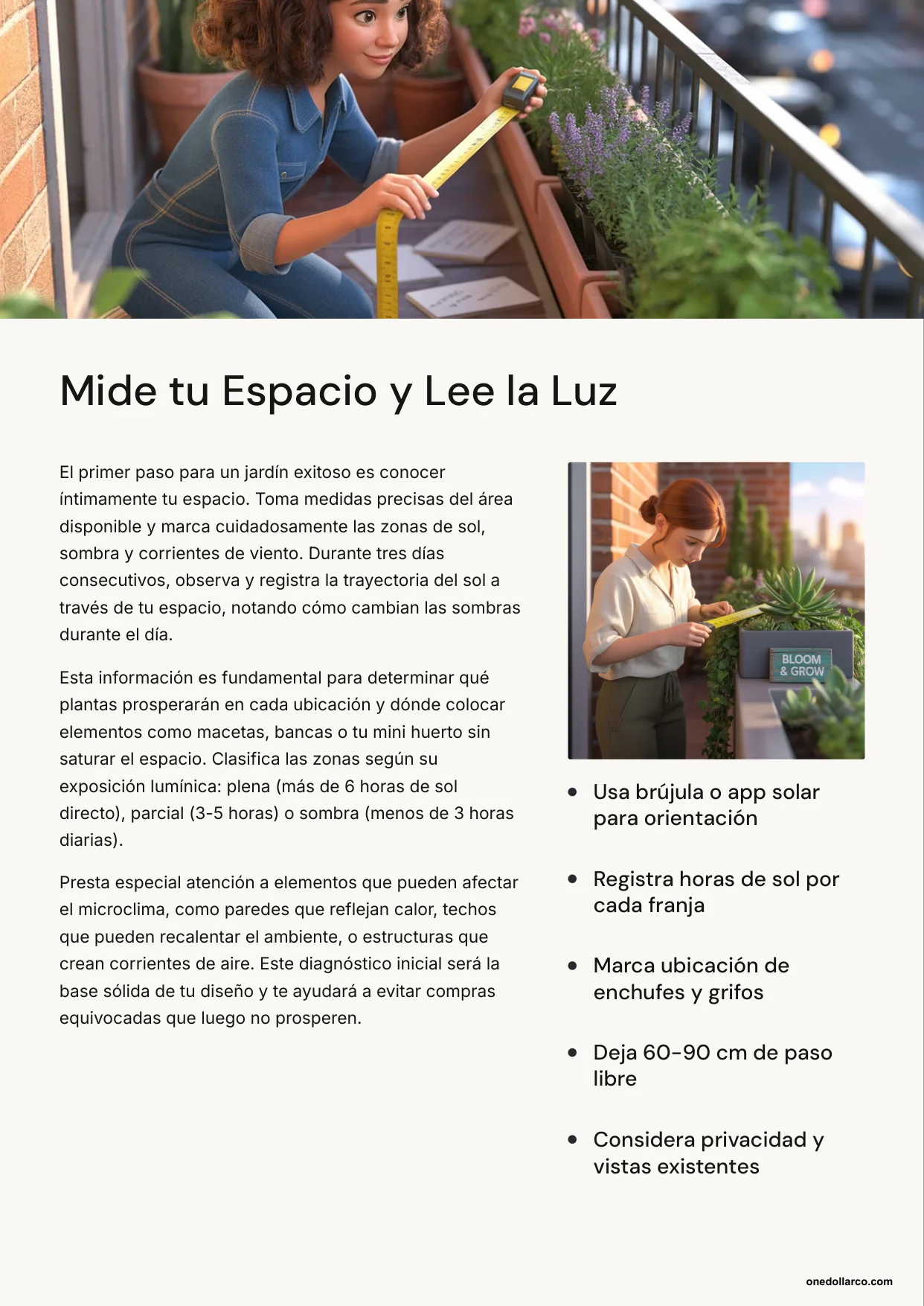 Small Gardens with Big Impact — Page 3