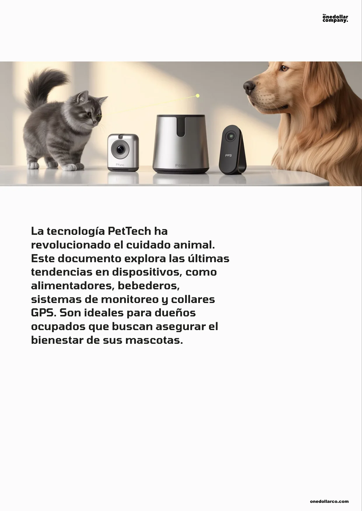 Smart Pet Care Devices Monitoring and Automated Feeding — Page 2
