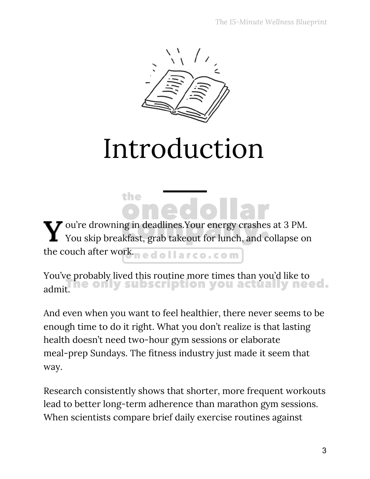 The 15 Minute Wellness Blueprint — Page 4