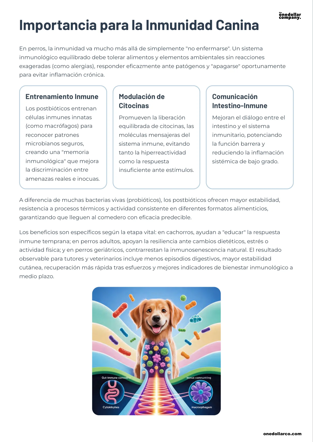 The Postbiotic Revolution Immune Health and Well being in Dogs — Page 4