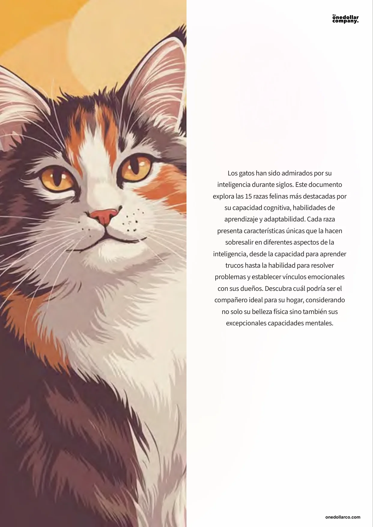 The Smartest Cat Breeds — Page 2
