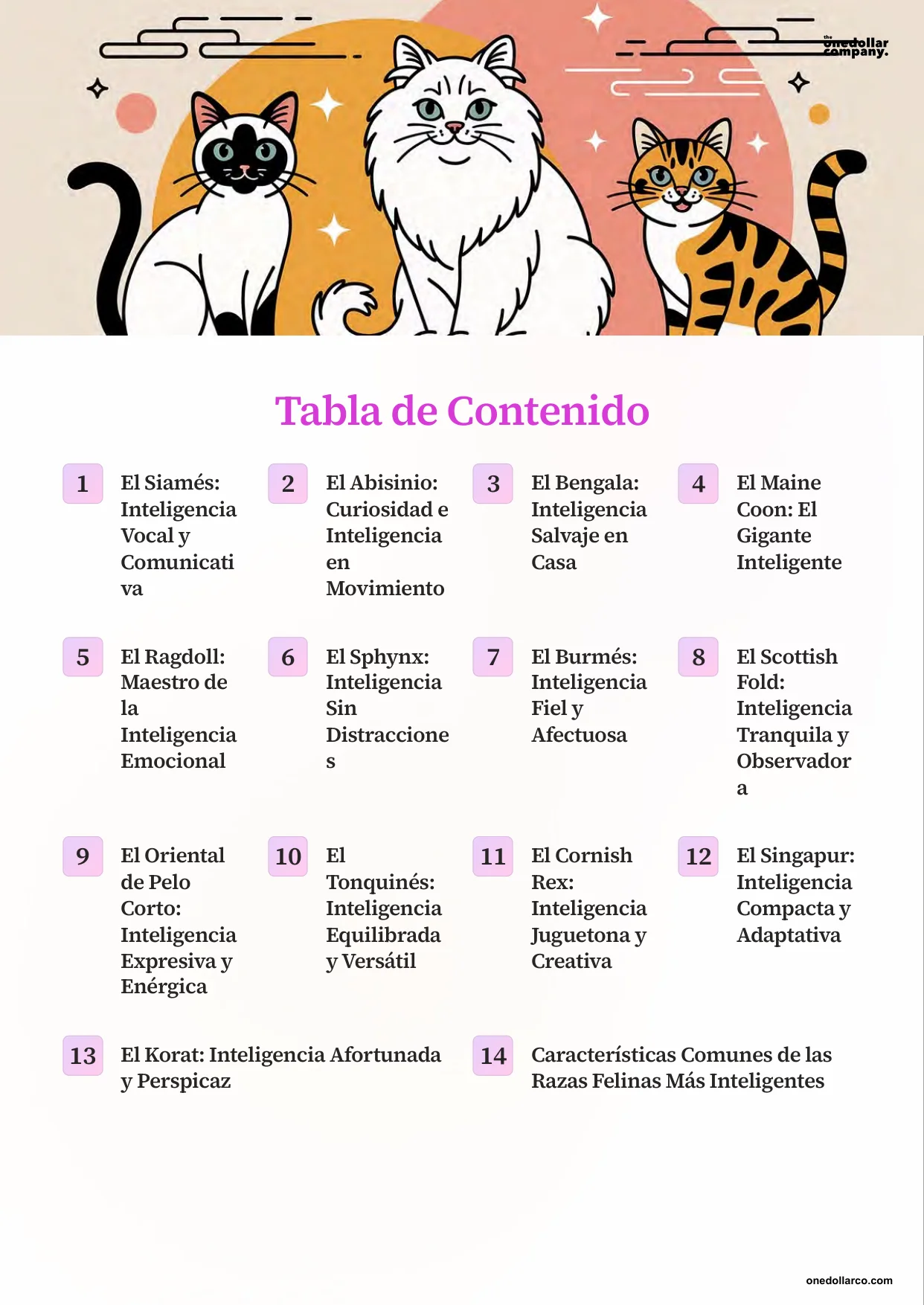The Smartest Cat Breeds — Page 3