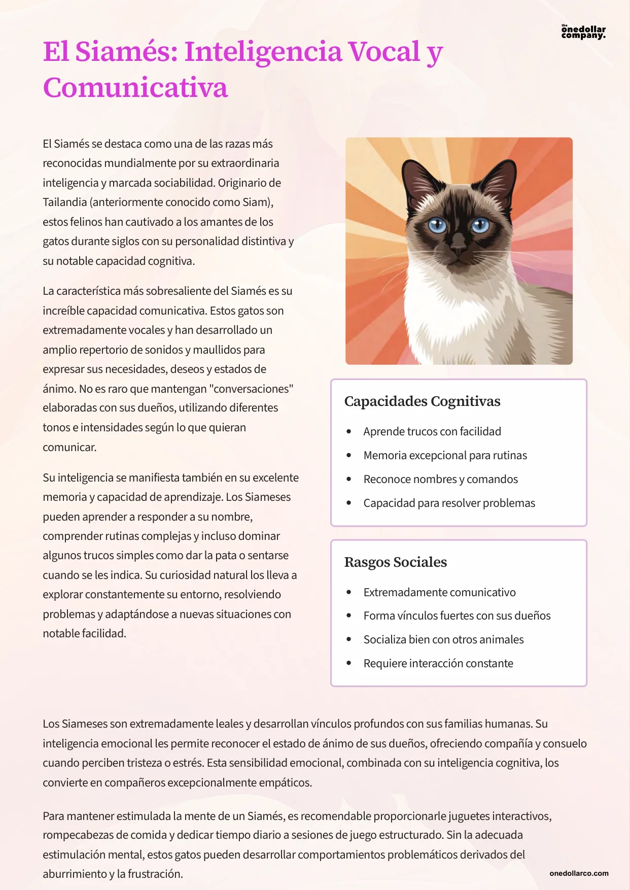 The Smartest Cat Breeds — Page 4