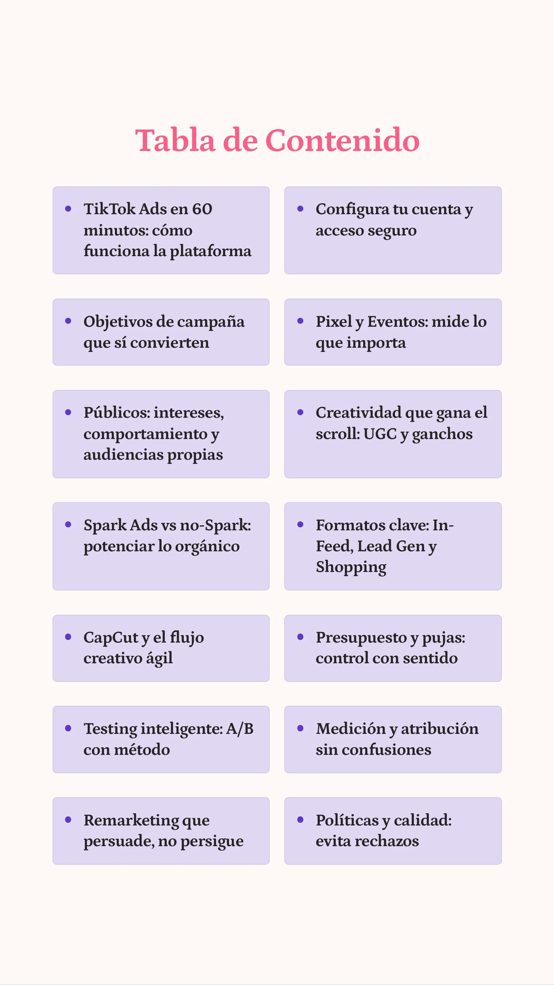 The Ultimate TikTok Ads Course — Page 2