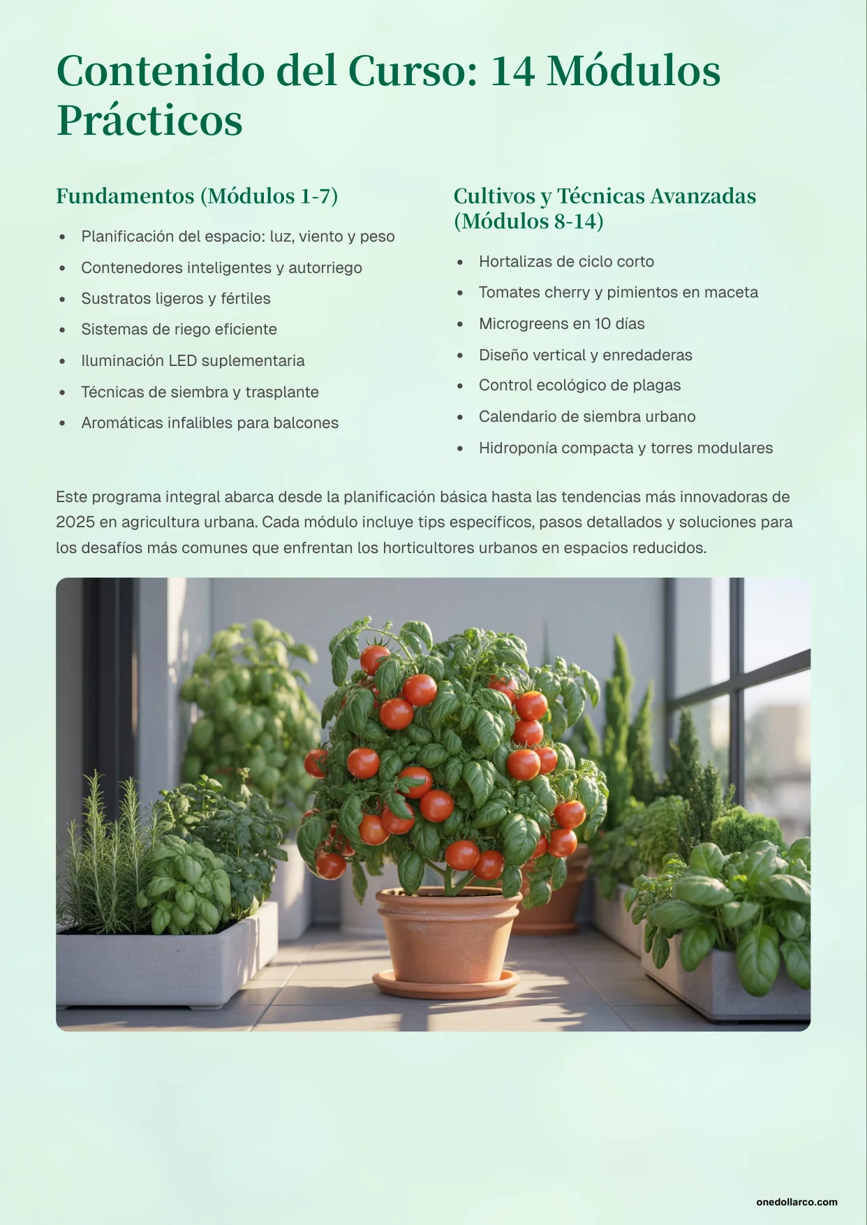 Urban Garden on Balconies and Terraces — Page 4