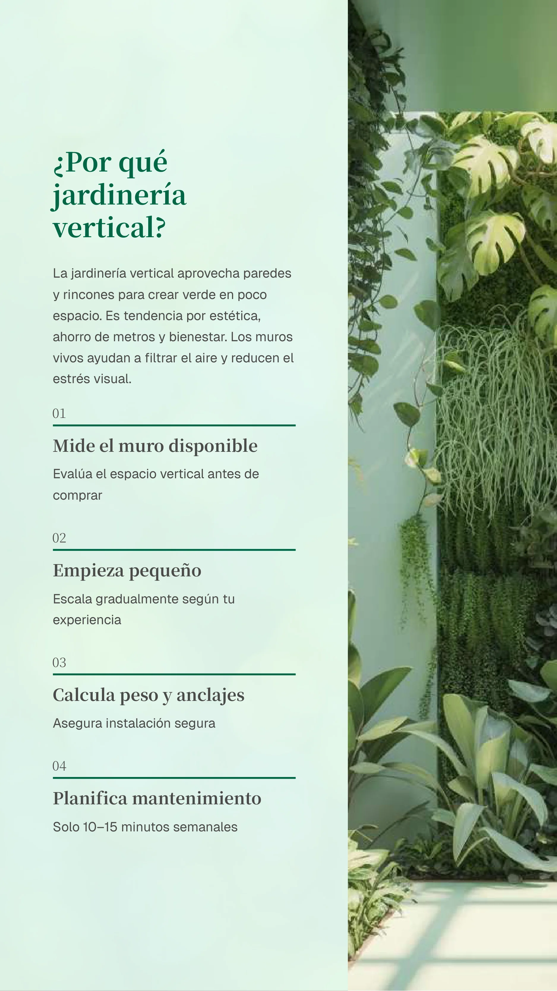 Vertical And Indoor Gardening — Page 3