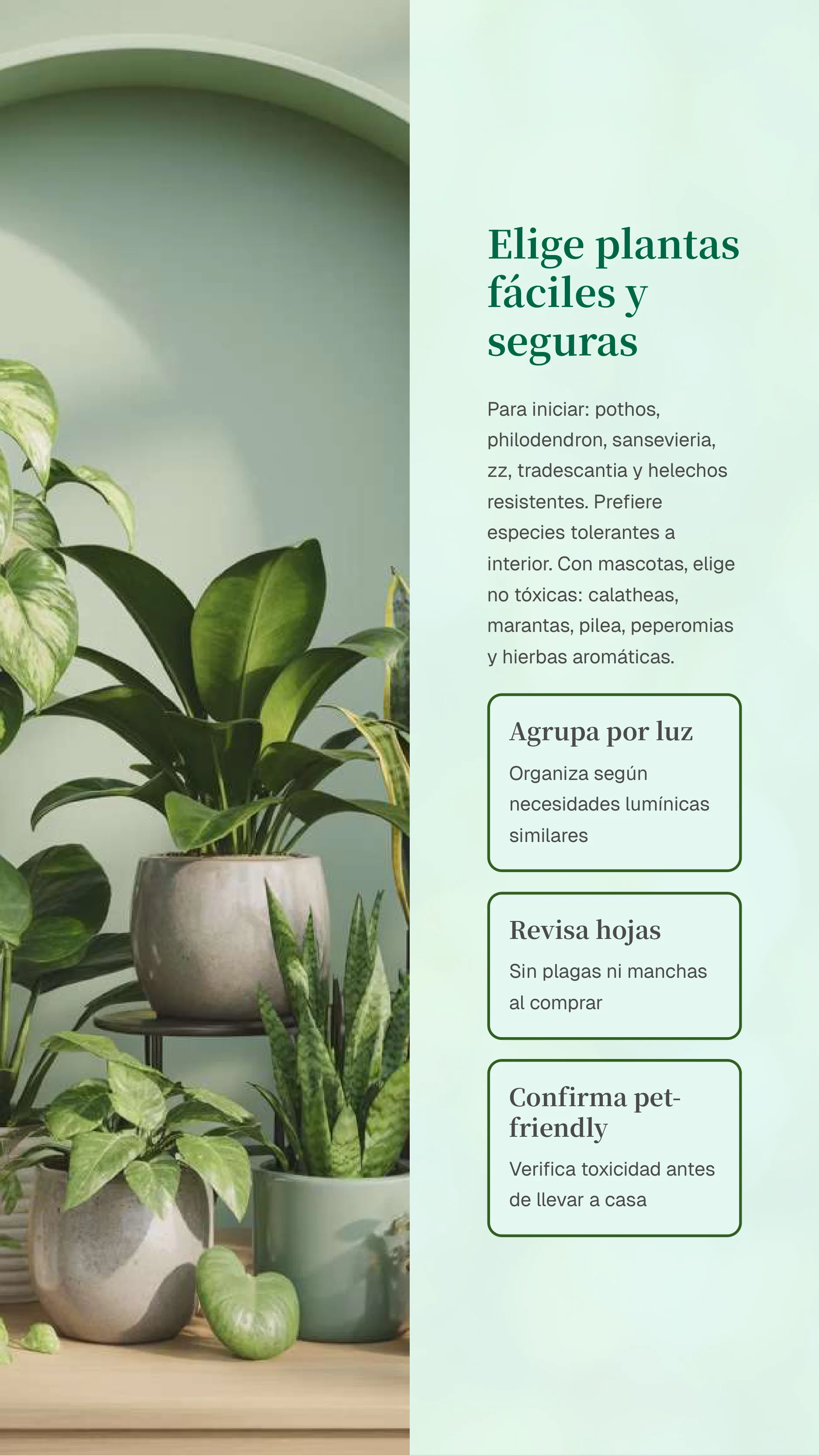 Vertical And Indoor Gardening — Page 4