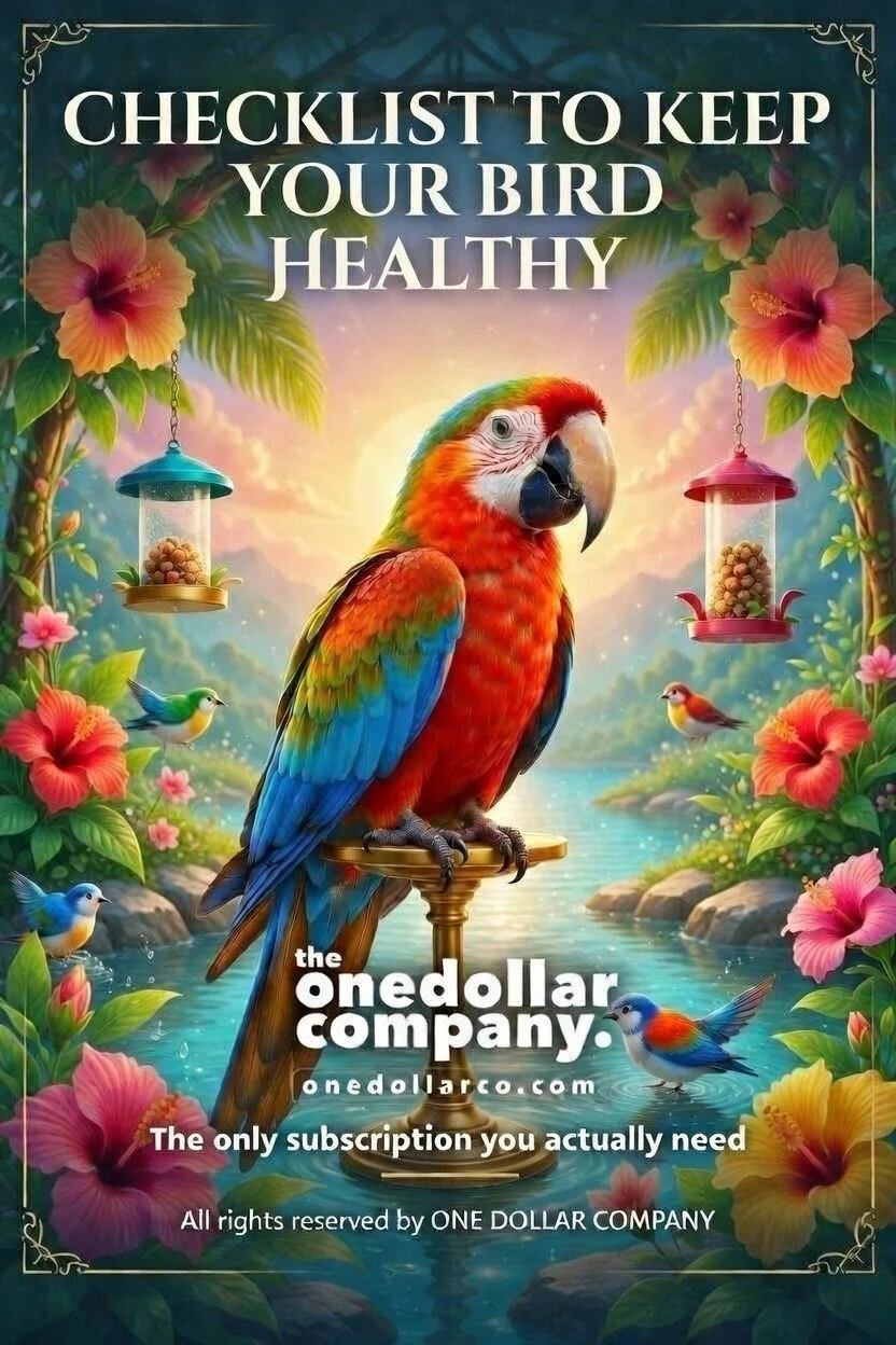 Checklist To Keep Your Bird Healthy
