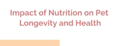 Impact of Nutrition on Pet Longevity and Health